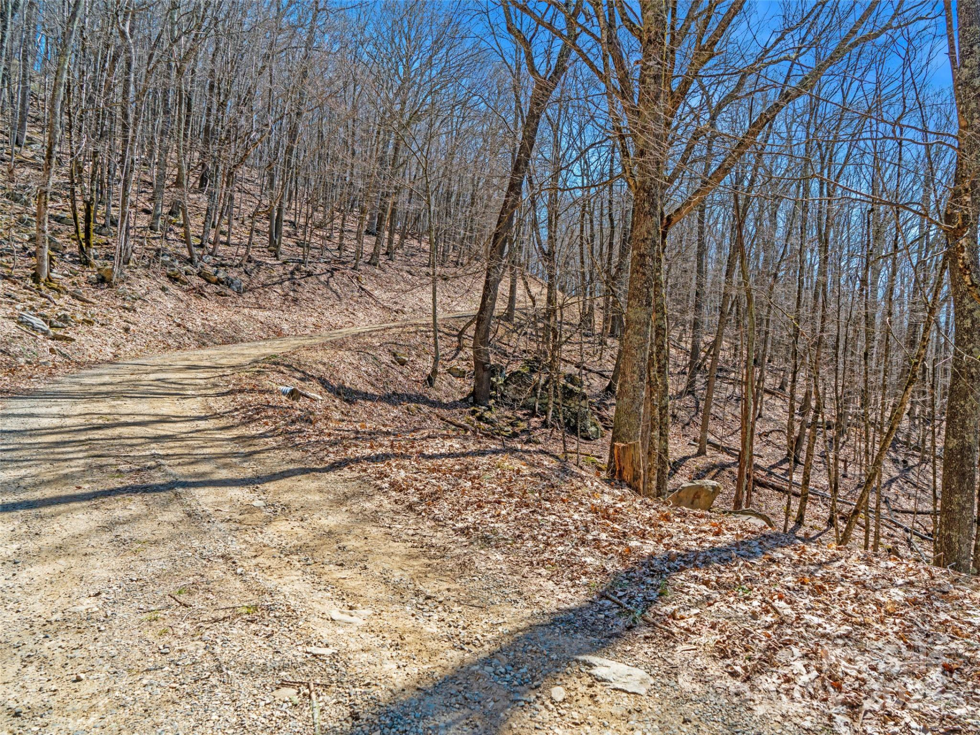 00 Tearshirt Lane #308/309 - Photo 3