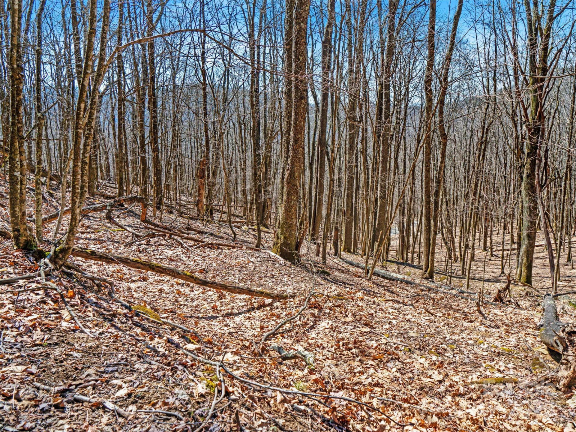 00 Tearshirt Lane #308/309 - Photo 4