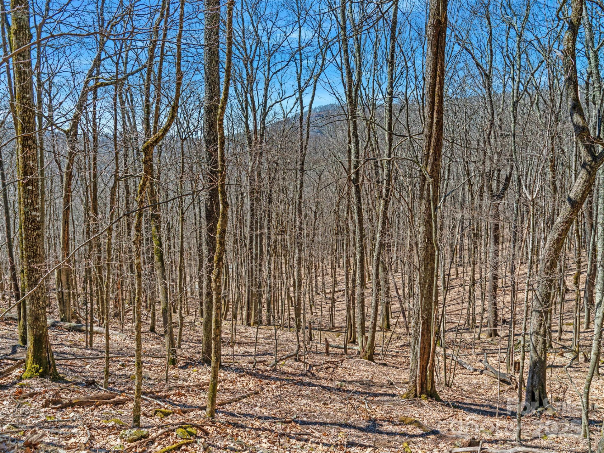 00 Tearshirt Lane #308/309 - Photo 5