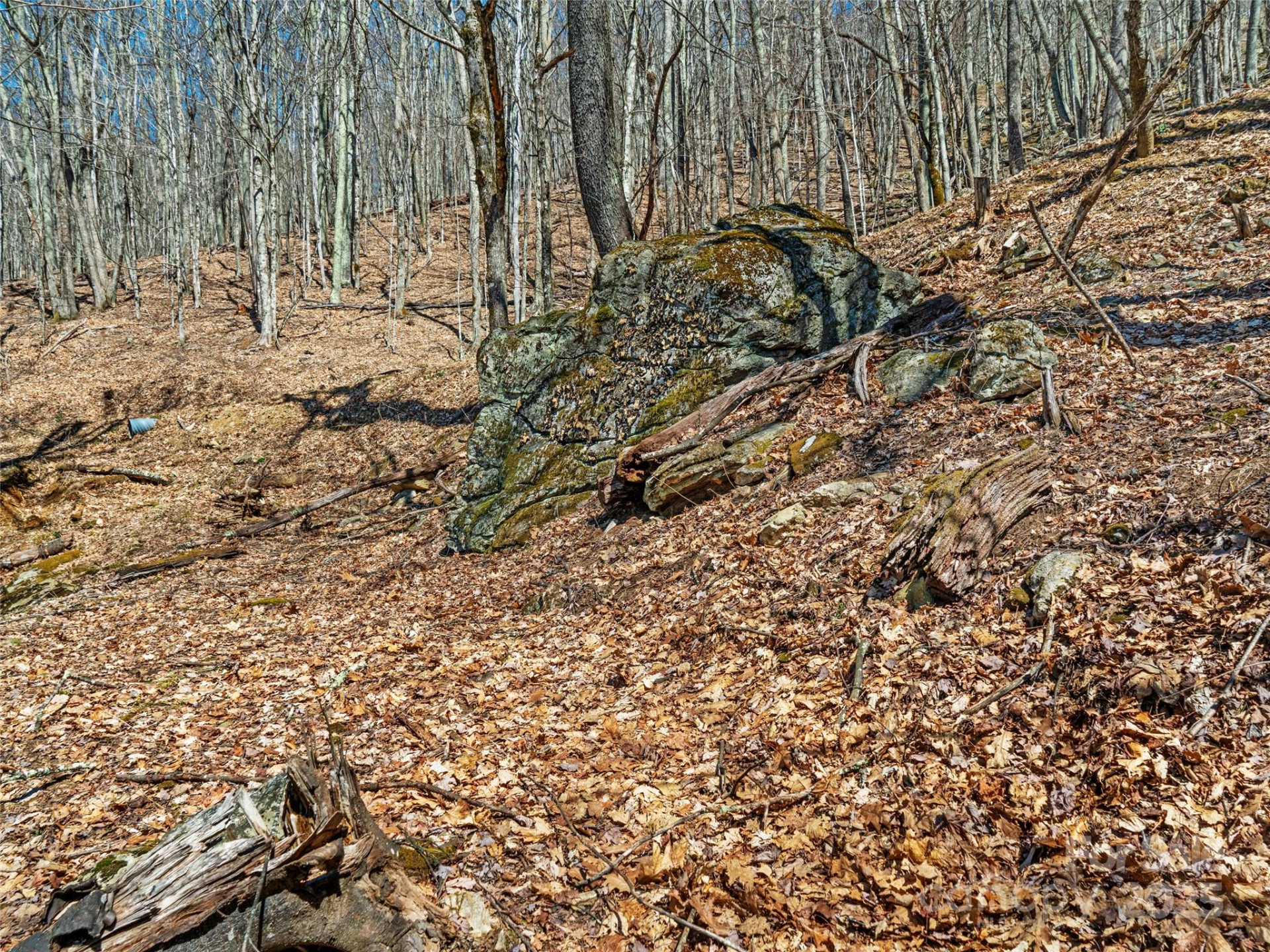 00 Tearshirt Lane #308/309 - Photo 6