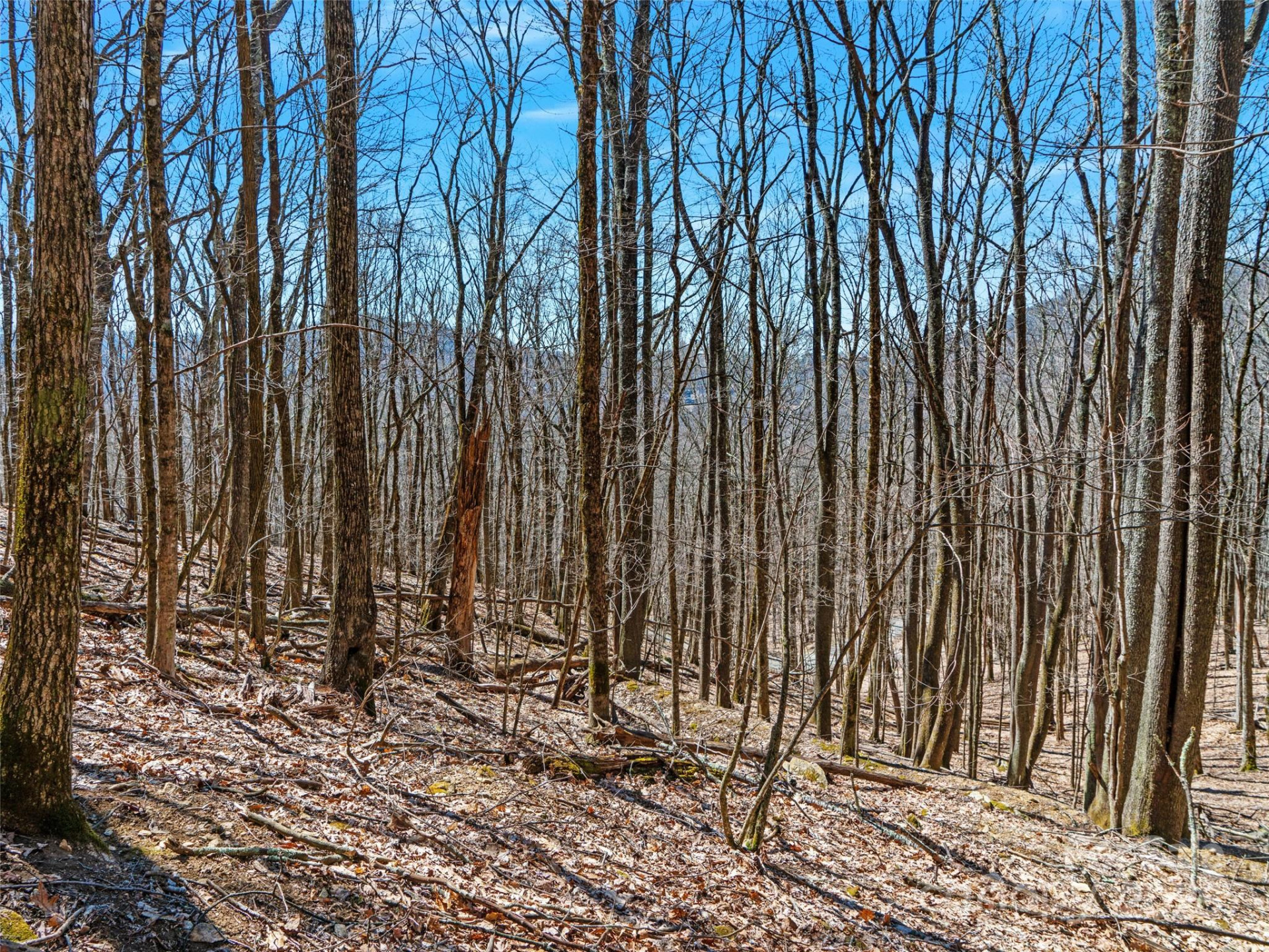 00 Tearshirt Lane #308/309 - Photo 7