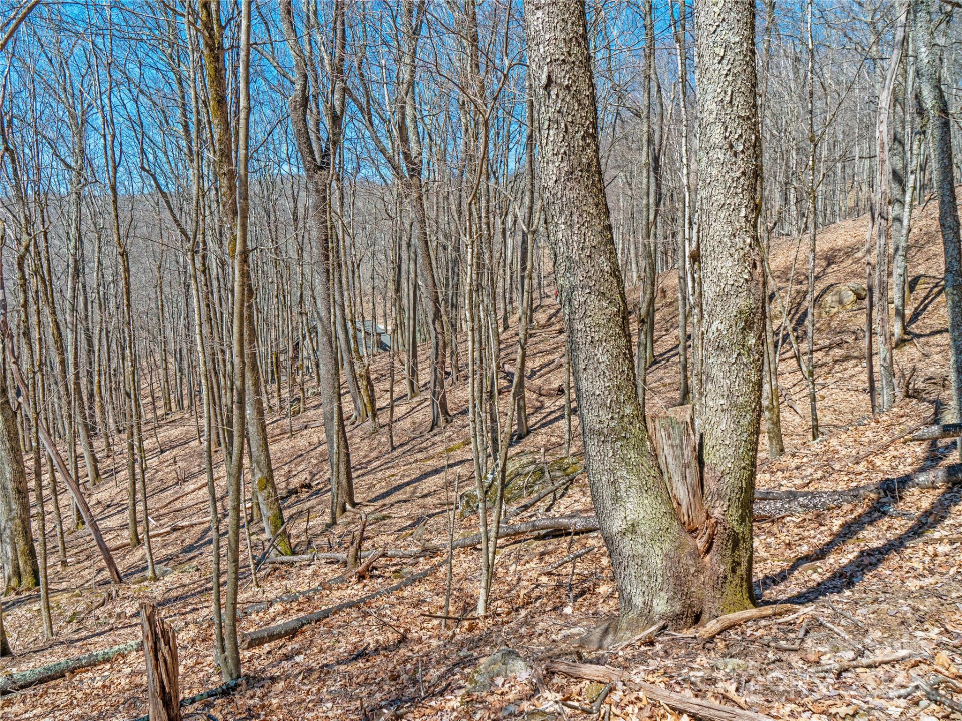 00 Tearshirt Lane #308/309 - Photo 10