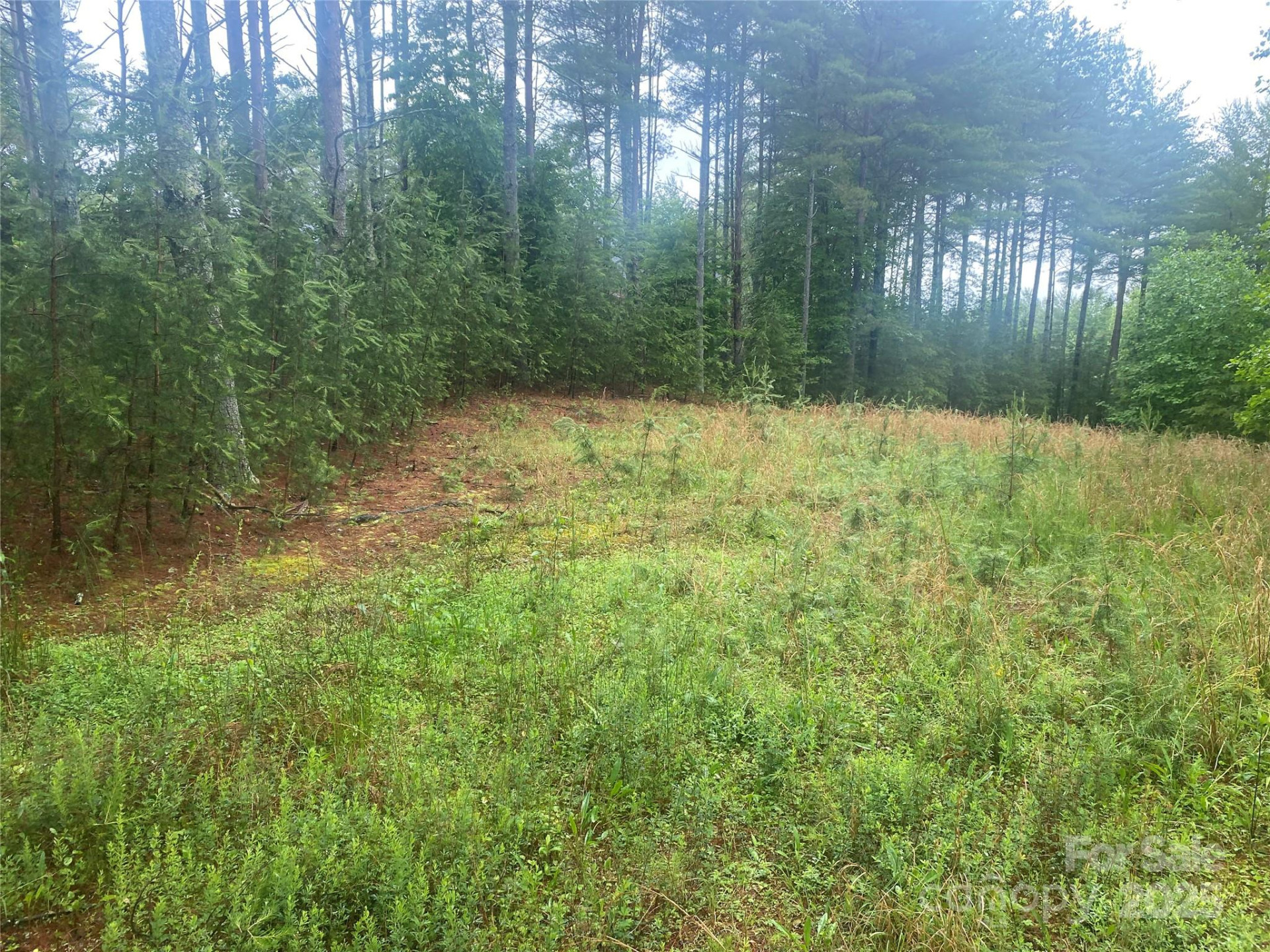 V/L Hunt Camp Drive #59 - Photo 2