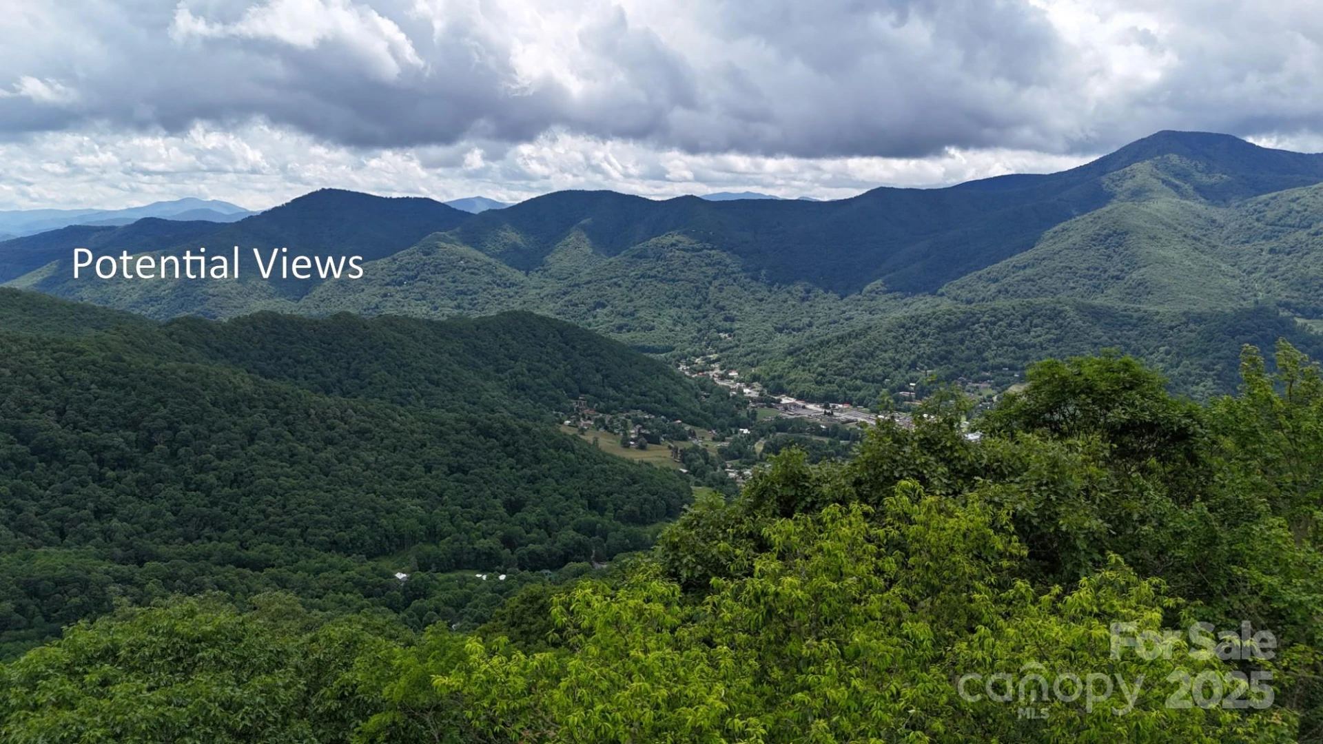 00 Logging Trail - Photo 2