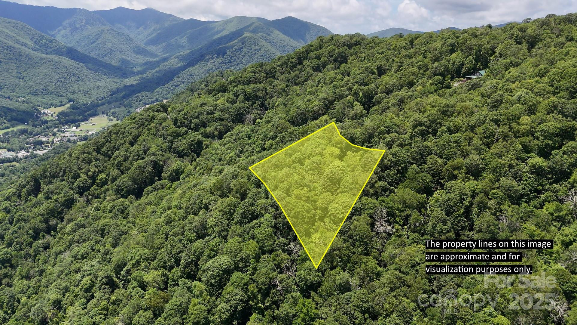 00 Logging Trail - Photo 3