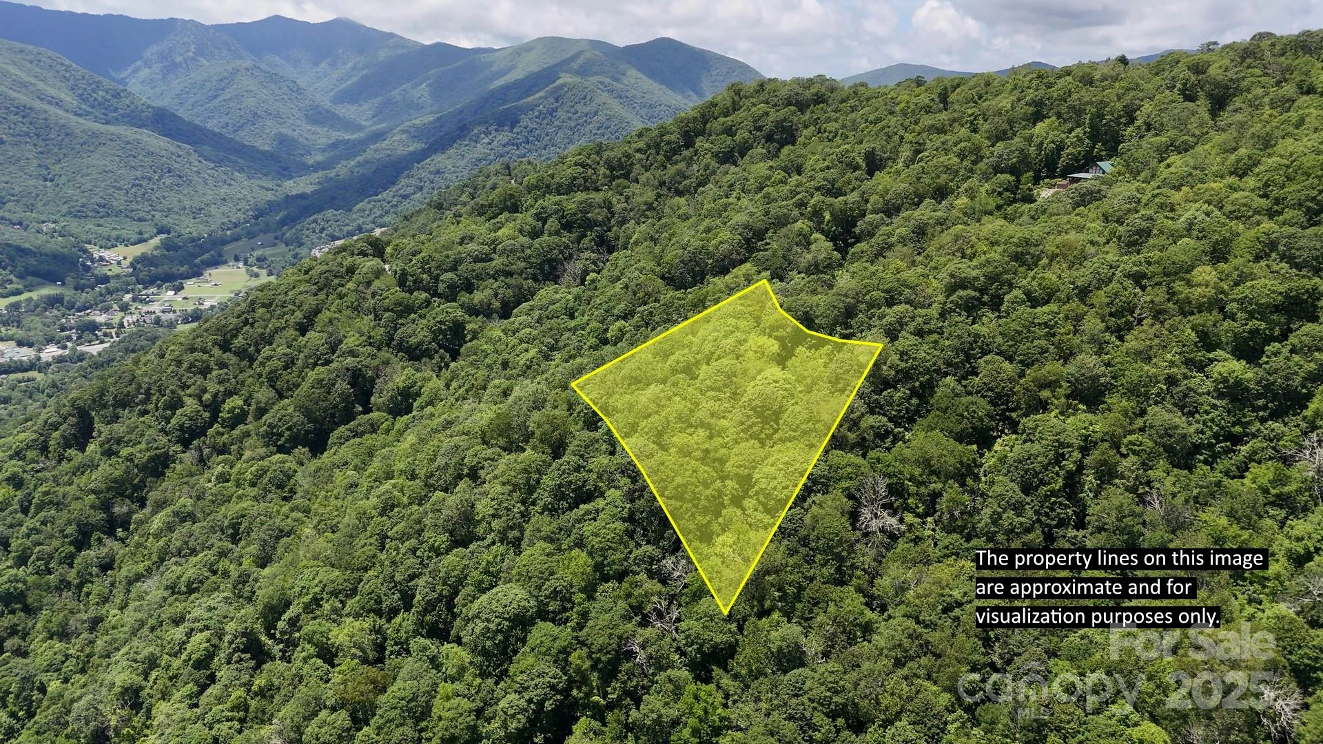 00 Logging Trail - Photo 3