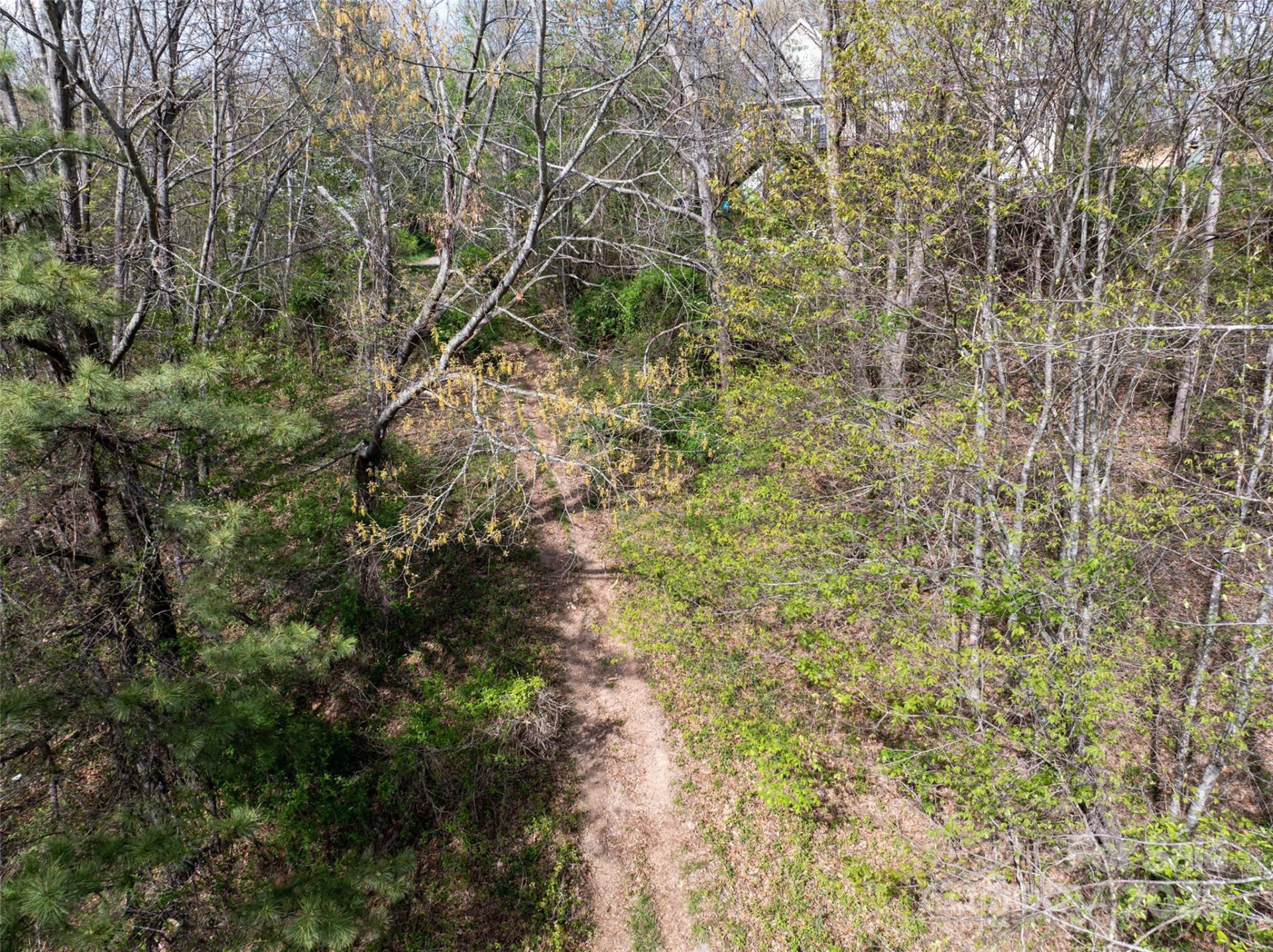 Lot 39 Sunnybrook Trail - Photo 4