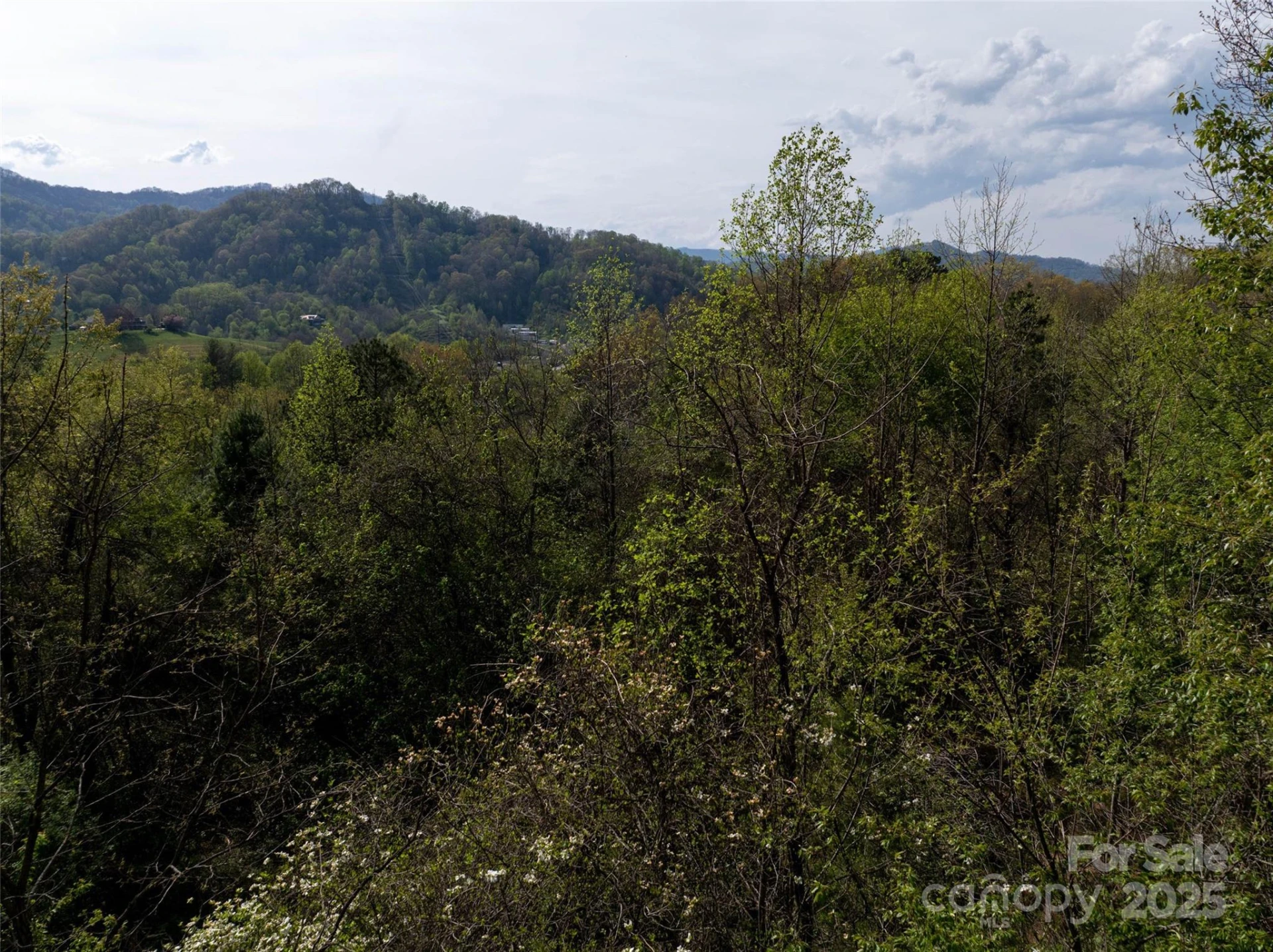 Lot 39 Sunnybrook Trail - Photo 5