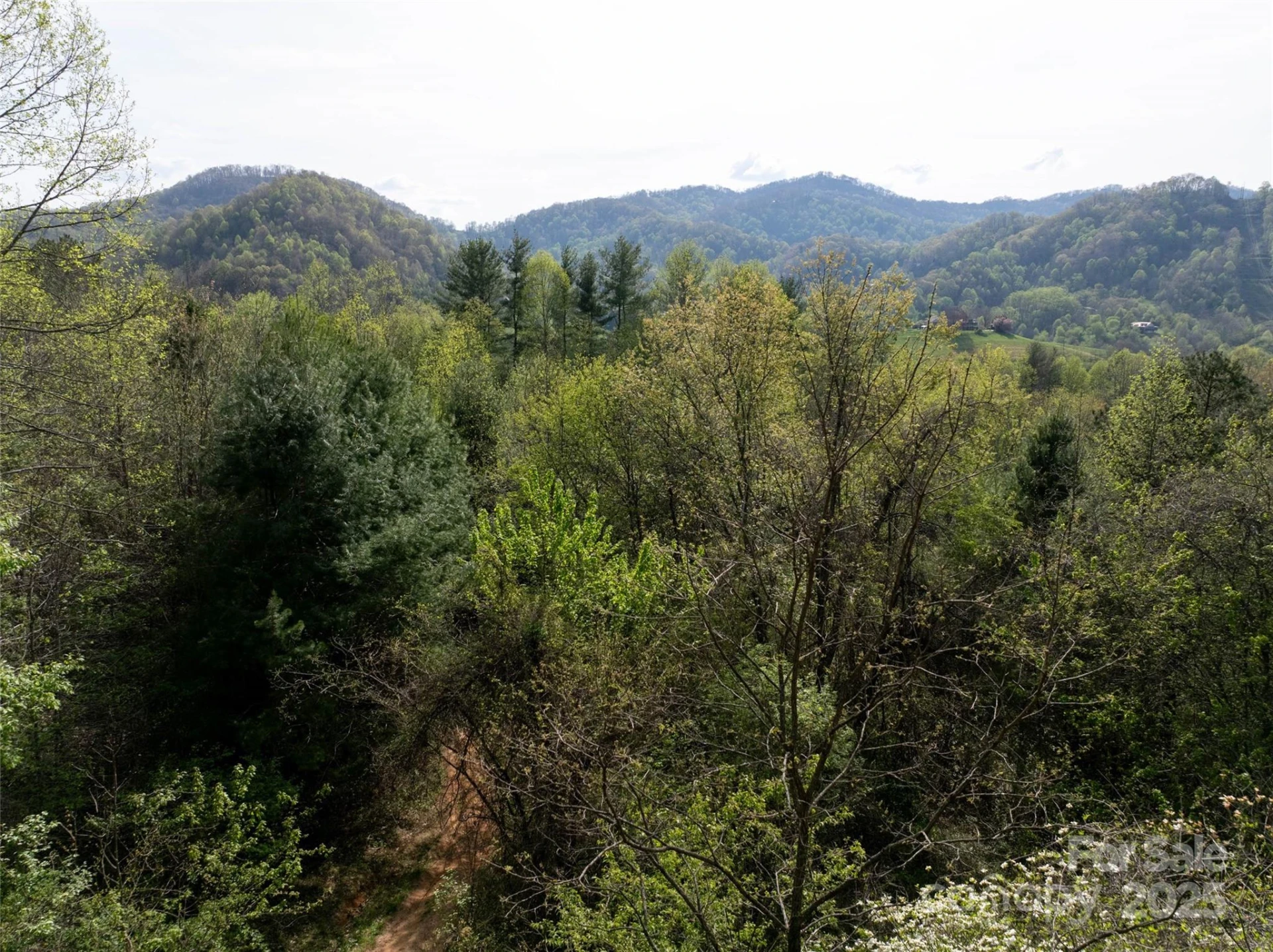 Lot 39 Sunnybrook Trail - Photo 6