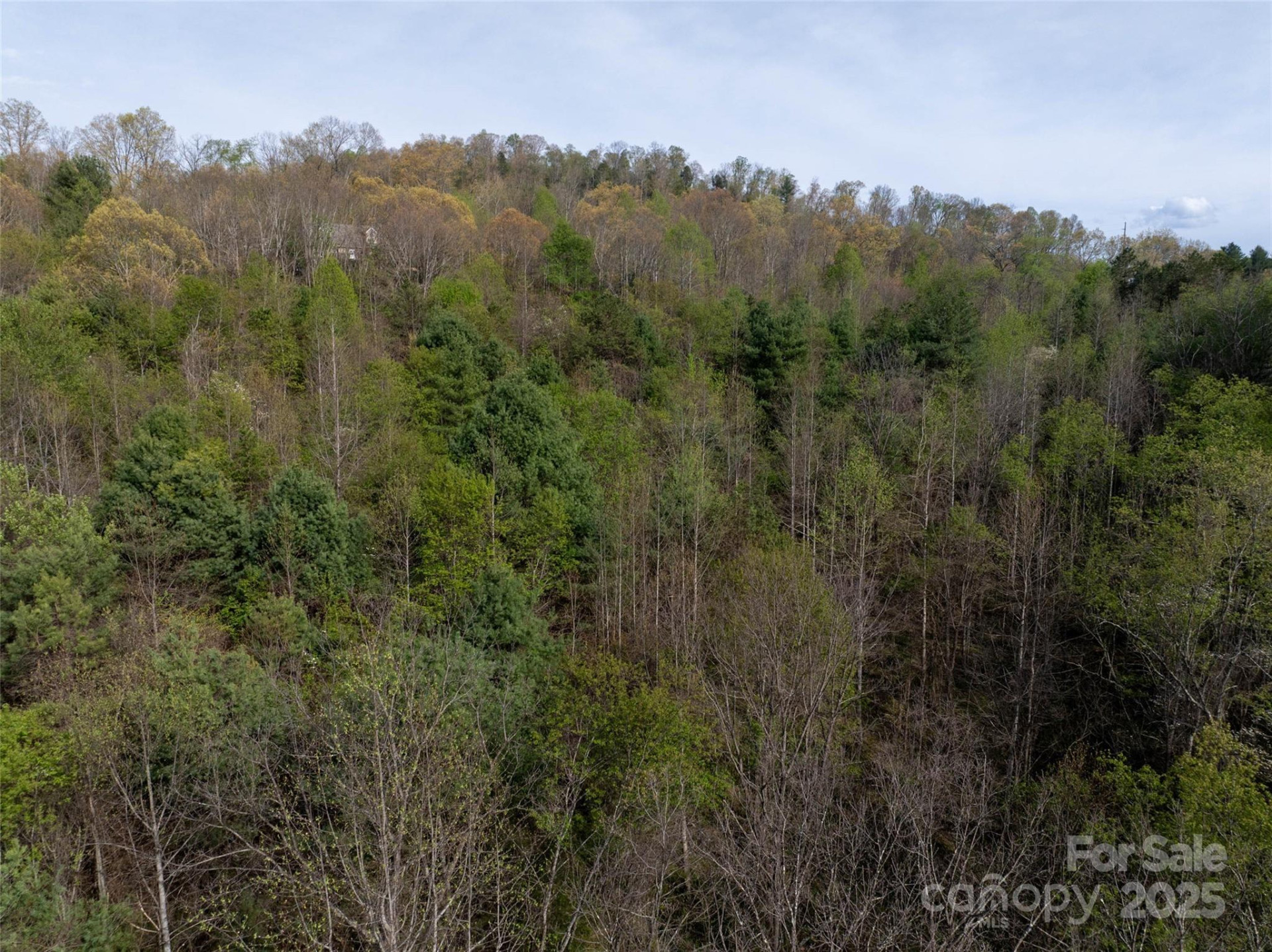 Lot 39 Sunnybrook Trail - Photo 7