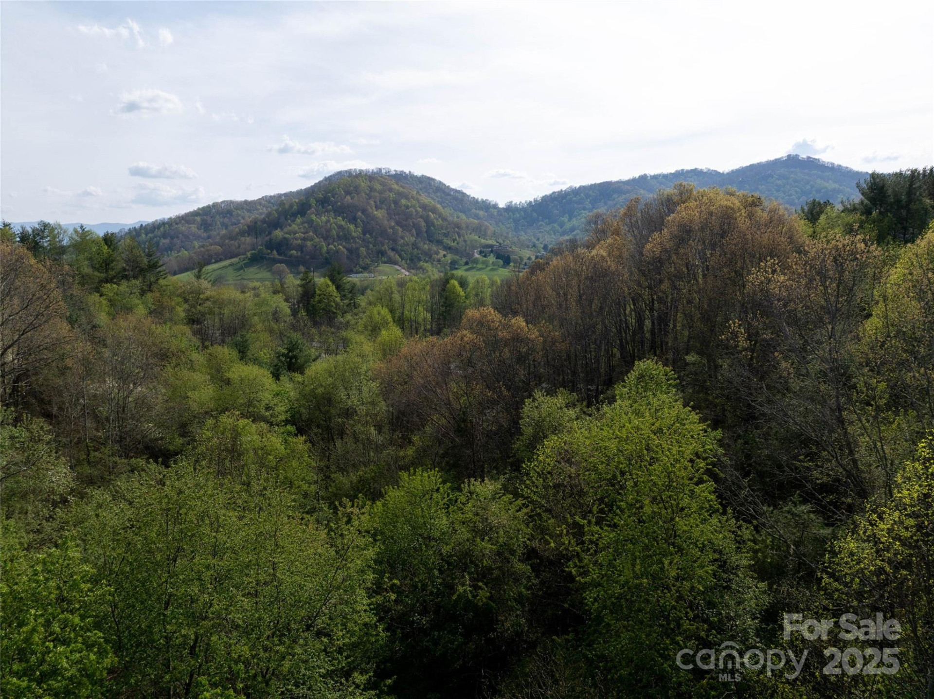 Lot 39 Sunnybrook Trail - Photo 8