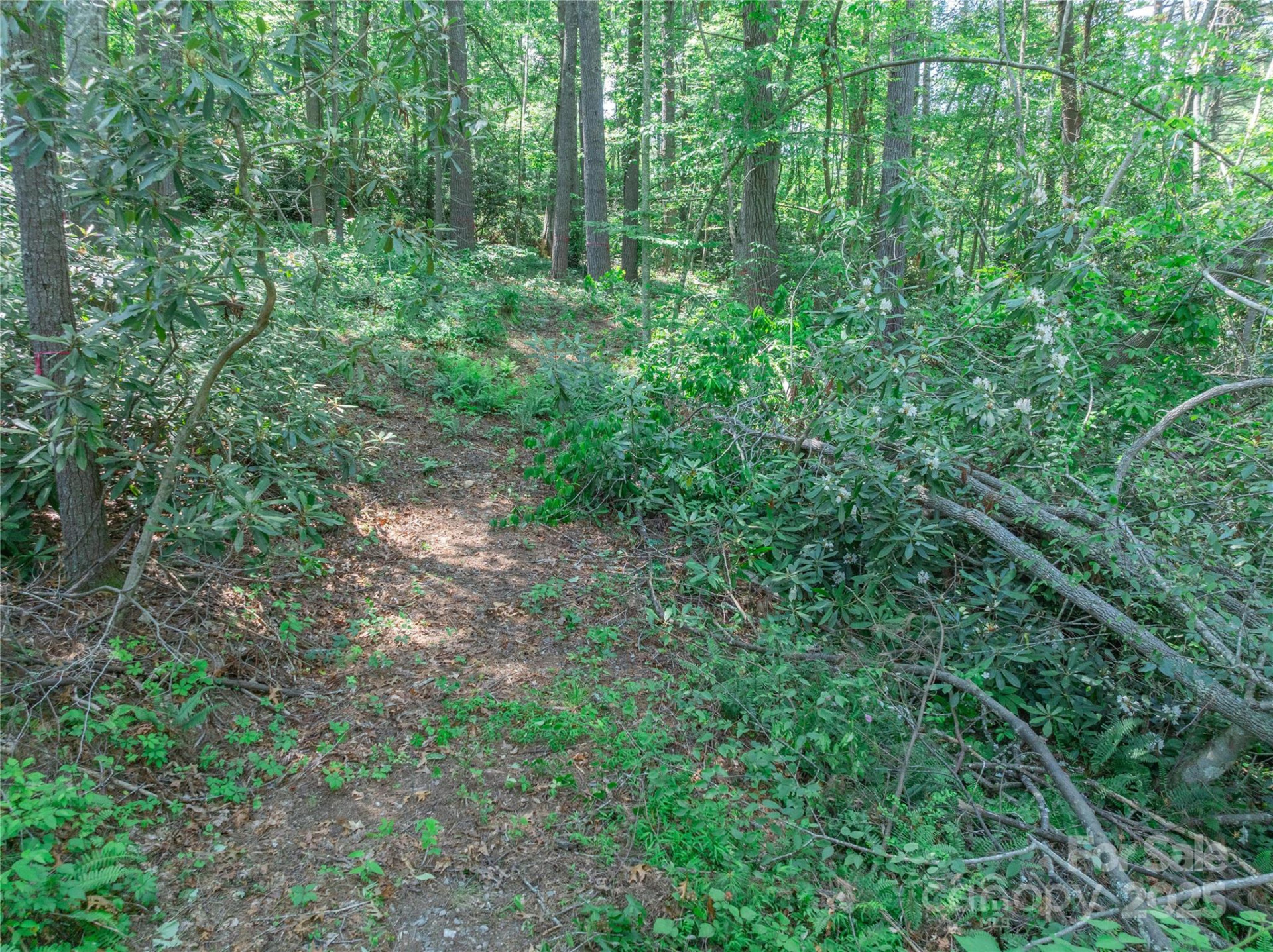 52 Trail Top Drive - Photo 11