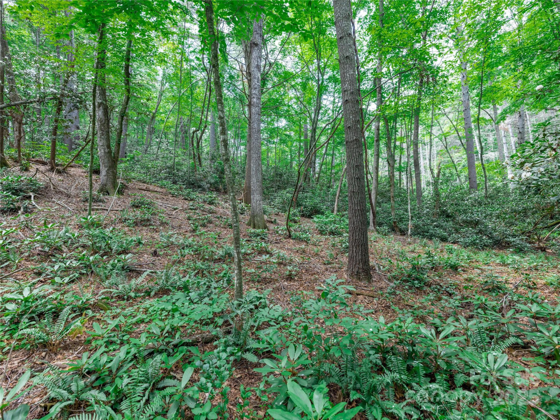 52 Trail Top Drive - Photo 13