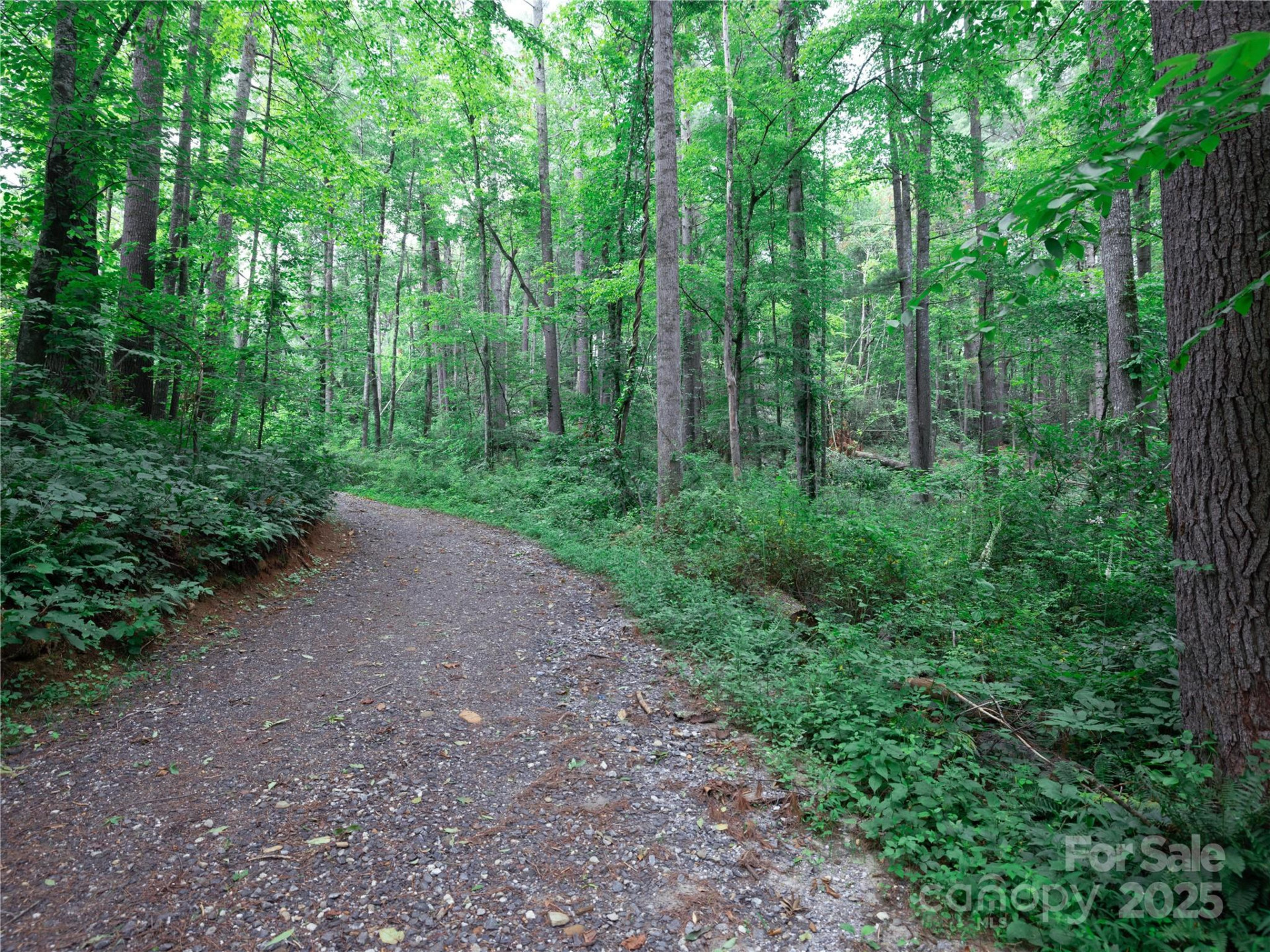 52 Trail Top Drive - Photo 15