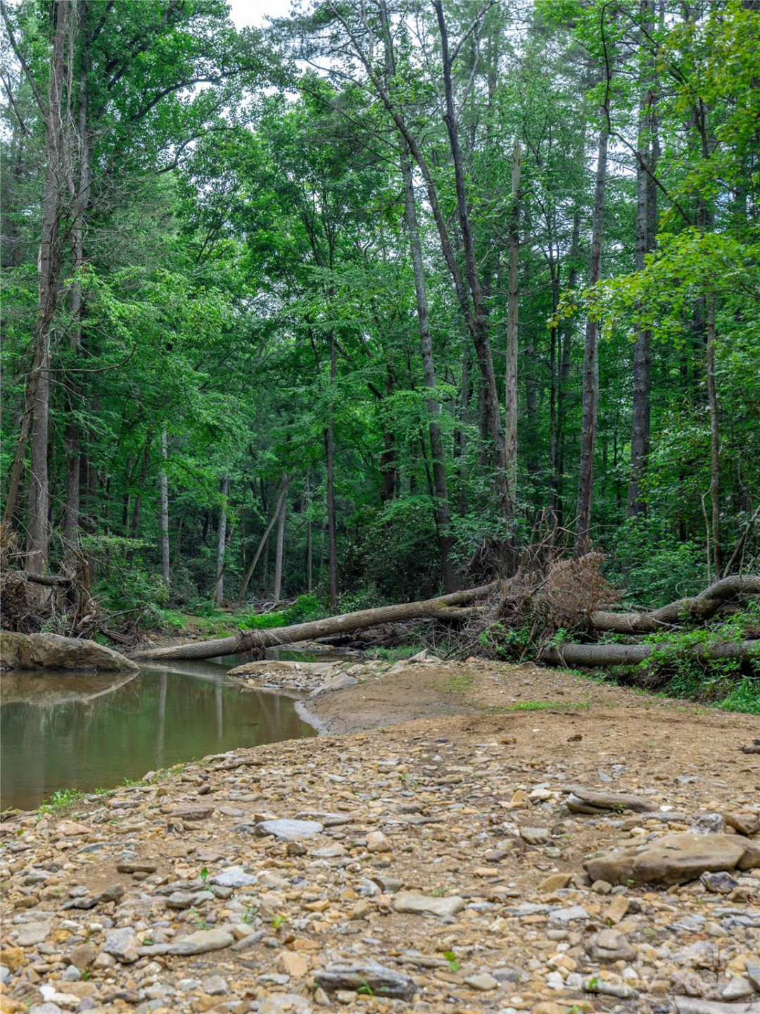 52 Trail Top Drive - Photo 16