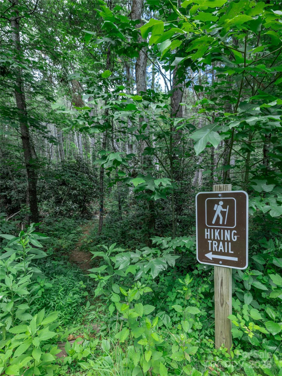 52 Trail Top Drive - Photo 17