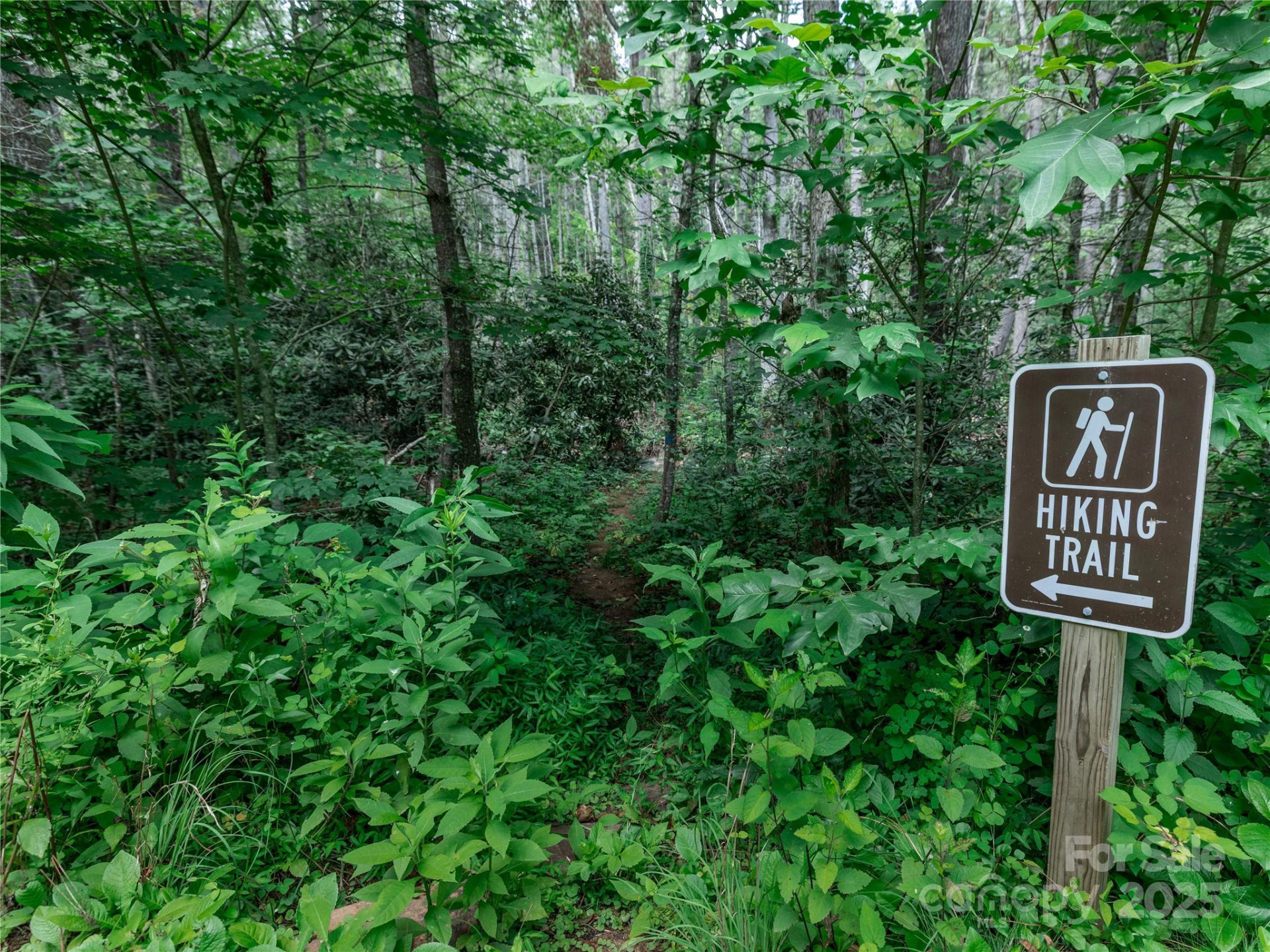 52 Trail Top Drive - Photo 18