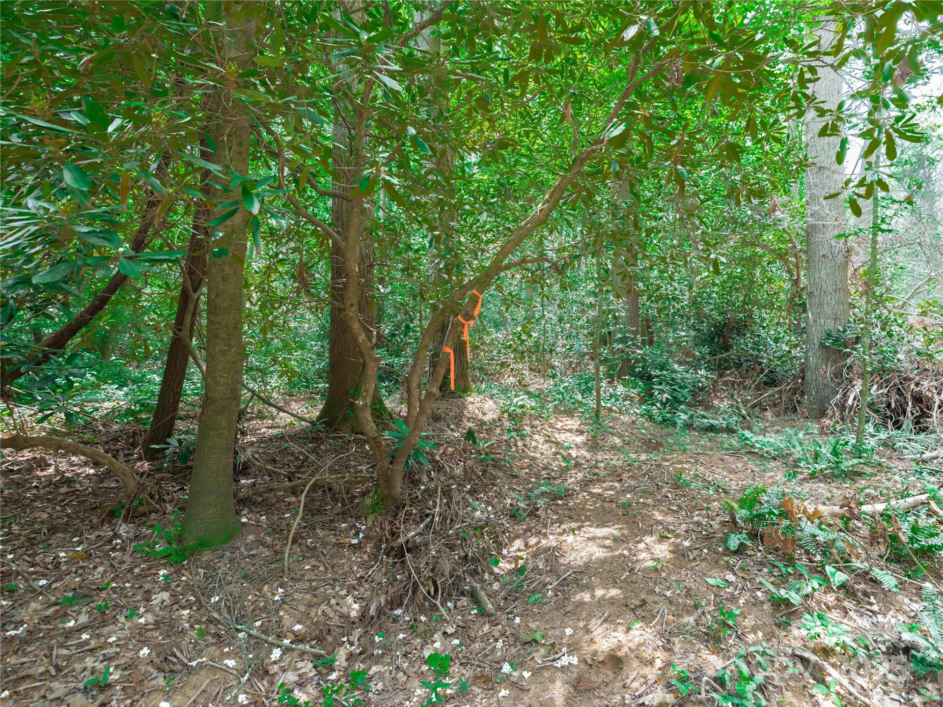 52 Trail Top Drive - Photo 20