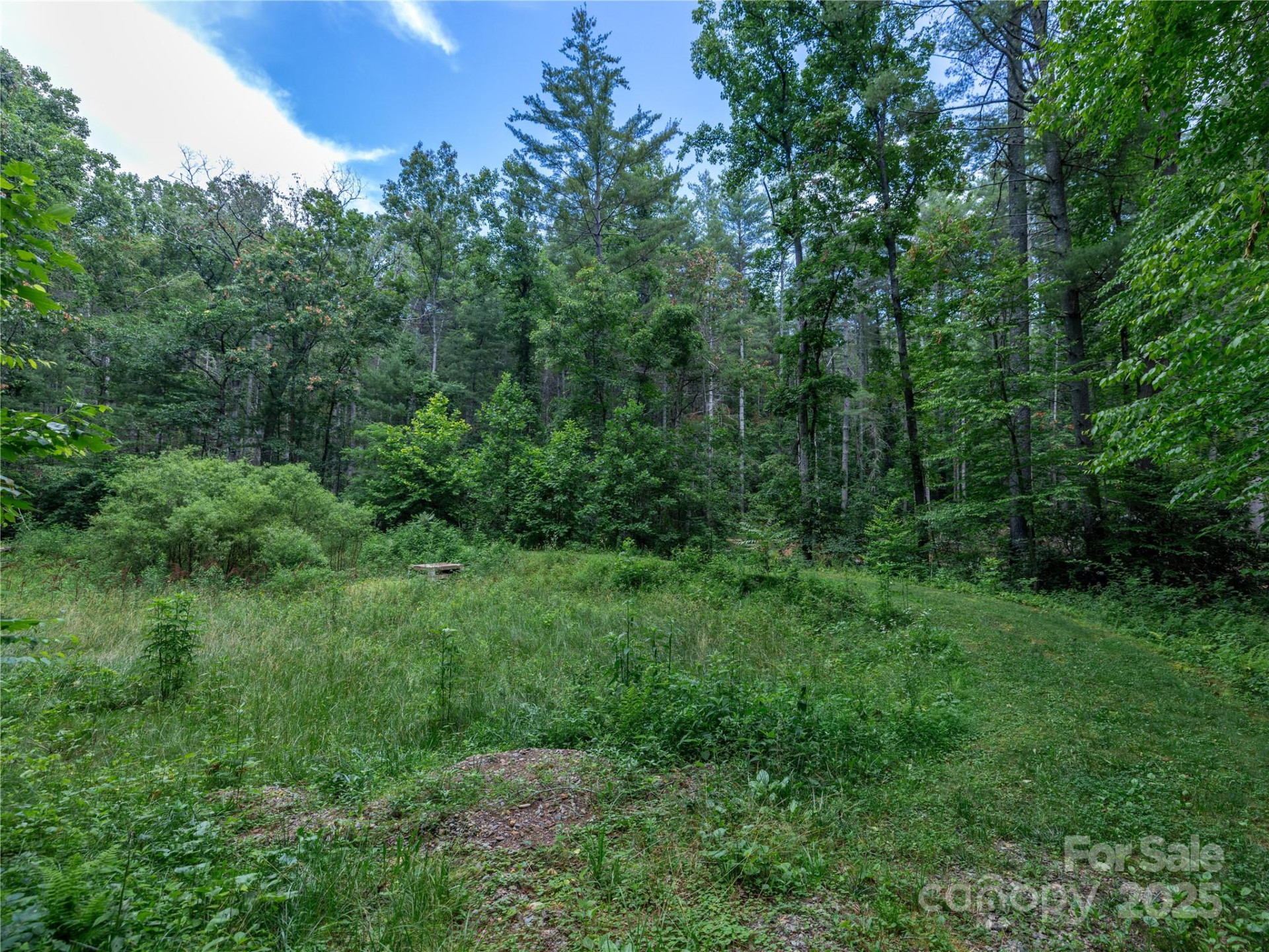 52 Trail Top Drive - Photo 21