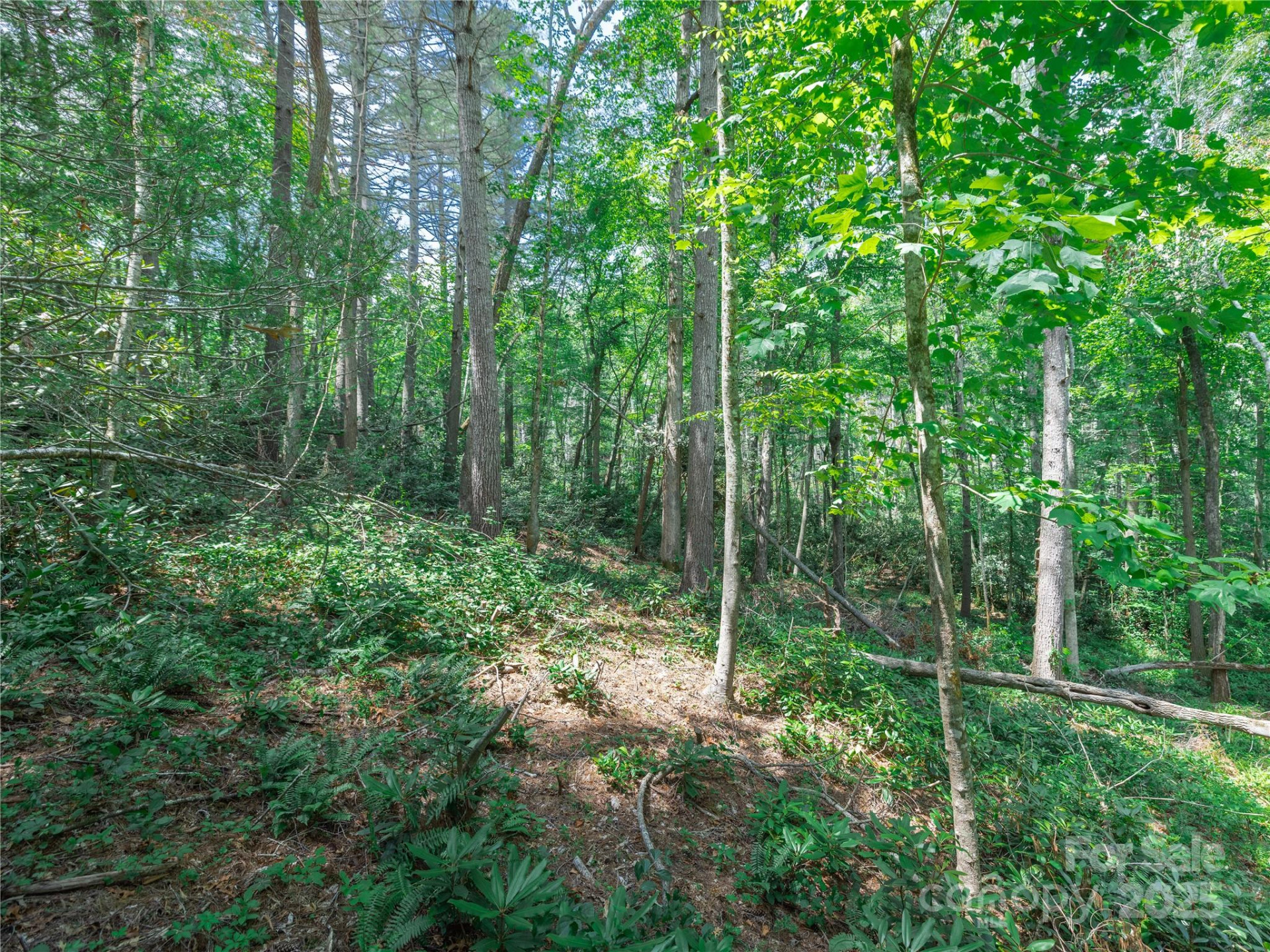 52 Trail Top Drive - Photo 22