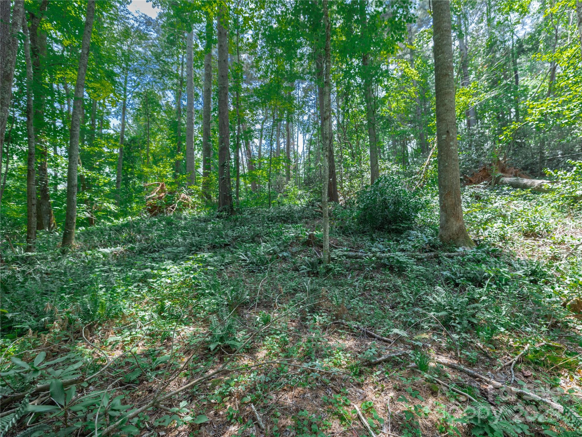 52 Trail Top Drive - Photo 23