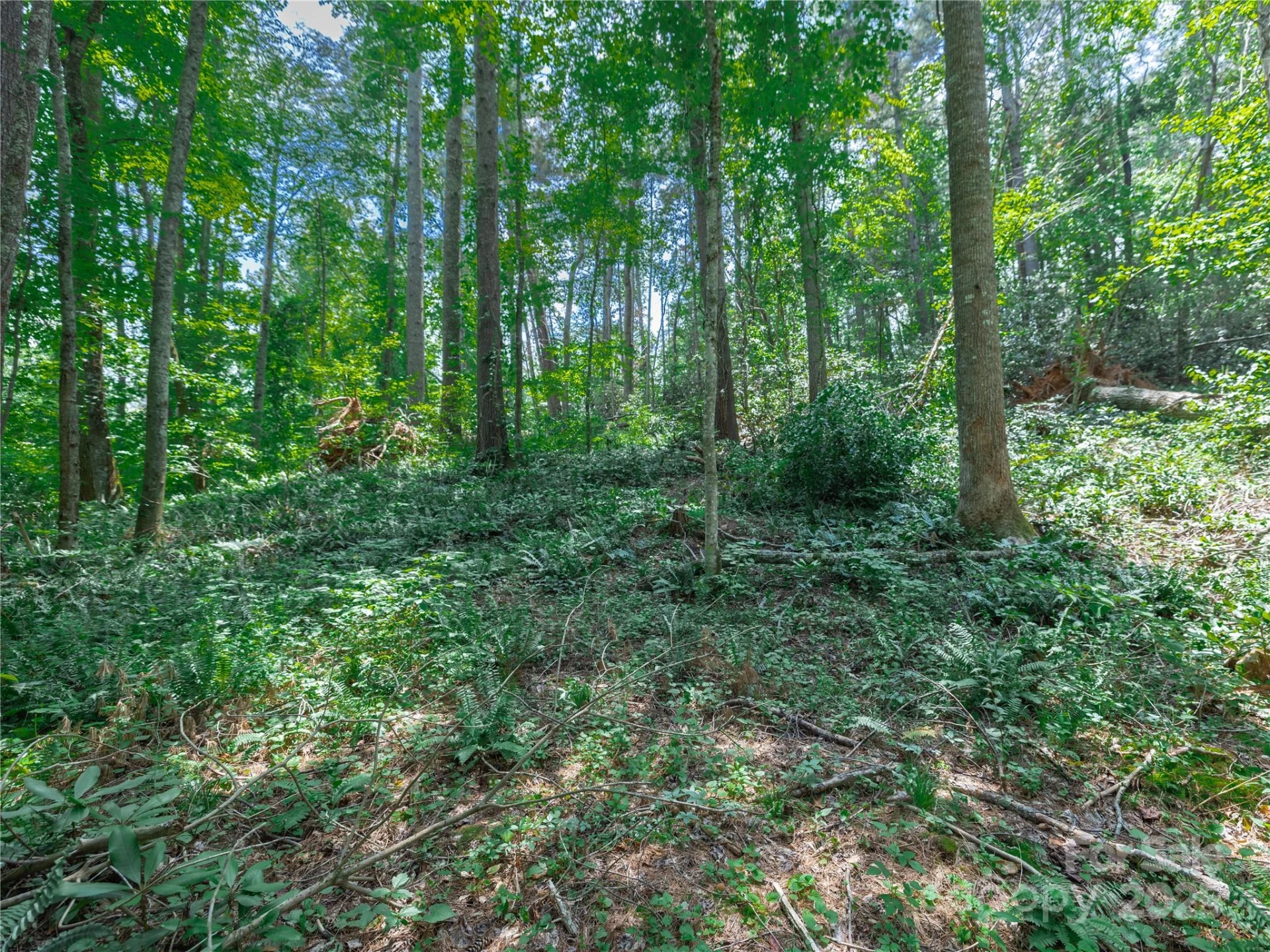 52 Trail Top Drive - Photo 23