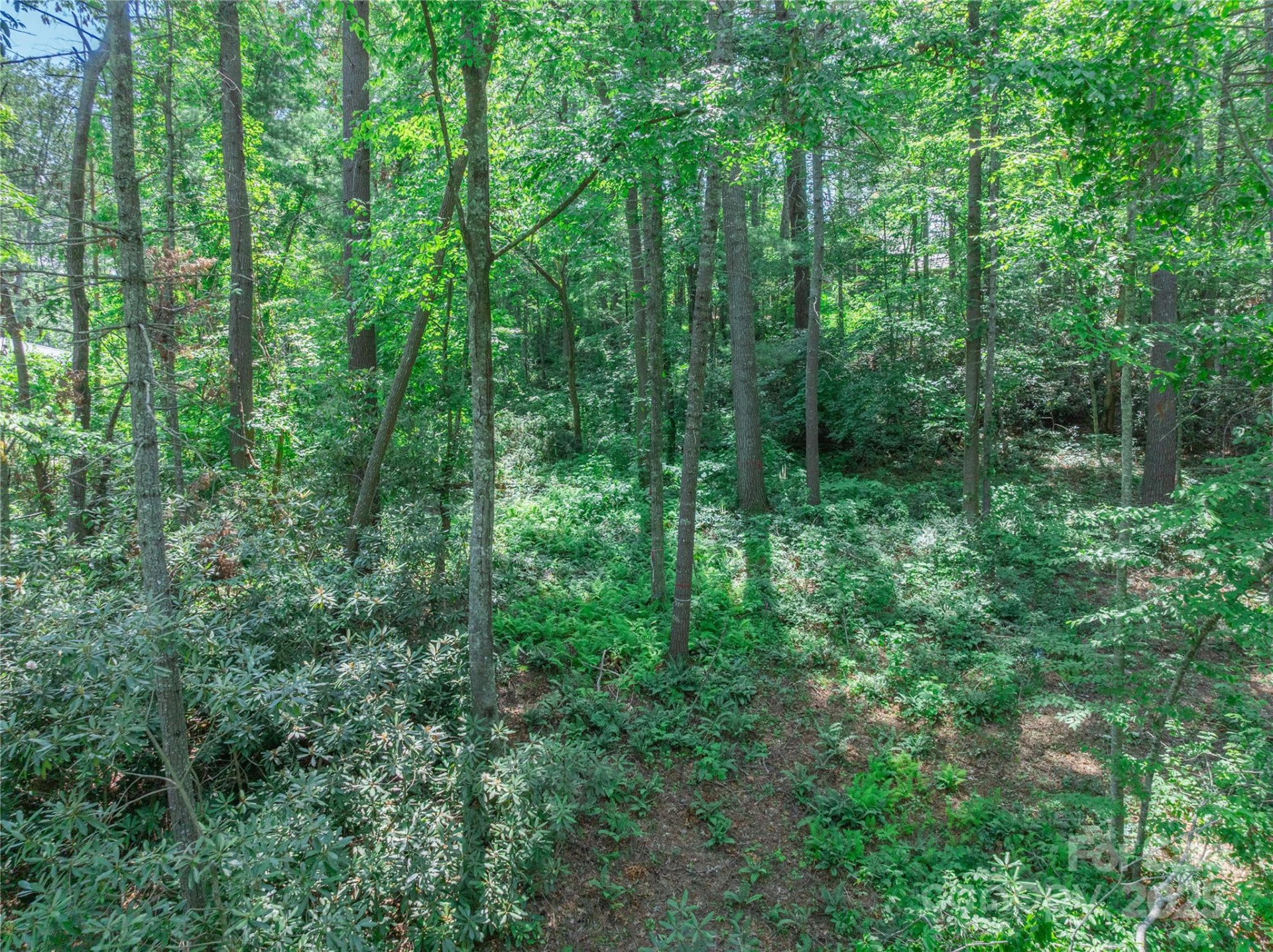 52 Trail Top Drive - Photo 25