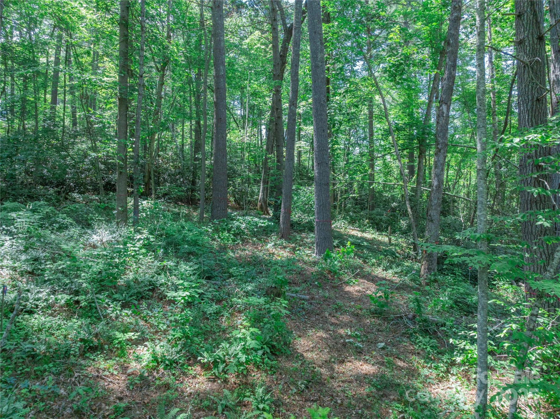 52 Trail Top Drive - Photo 26
