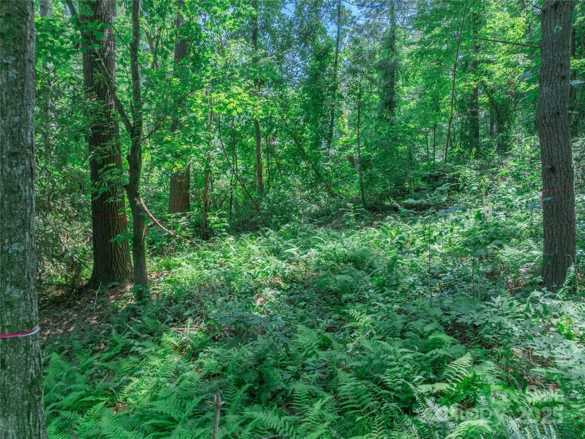 52 Trail Top Drive - Photo 27