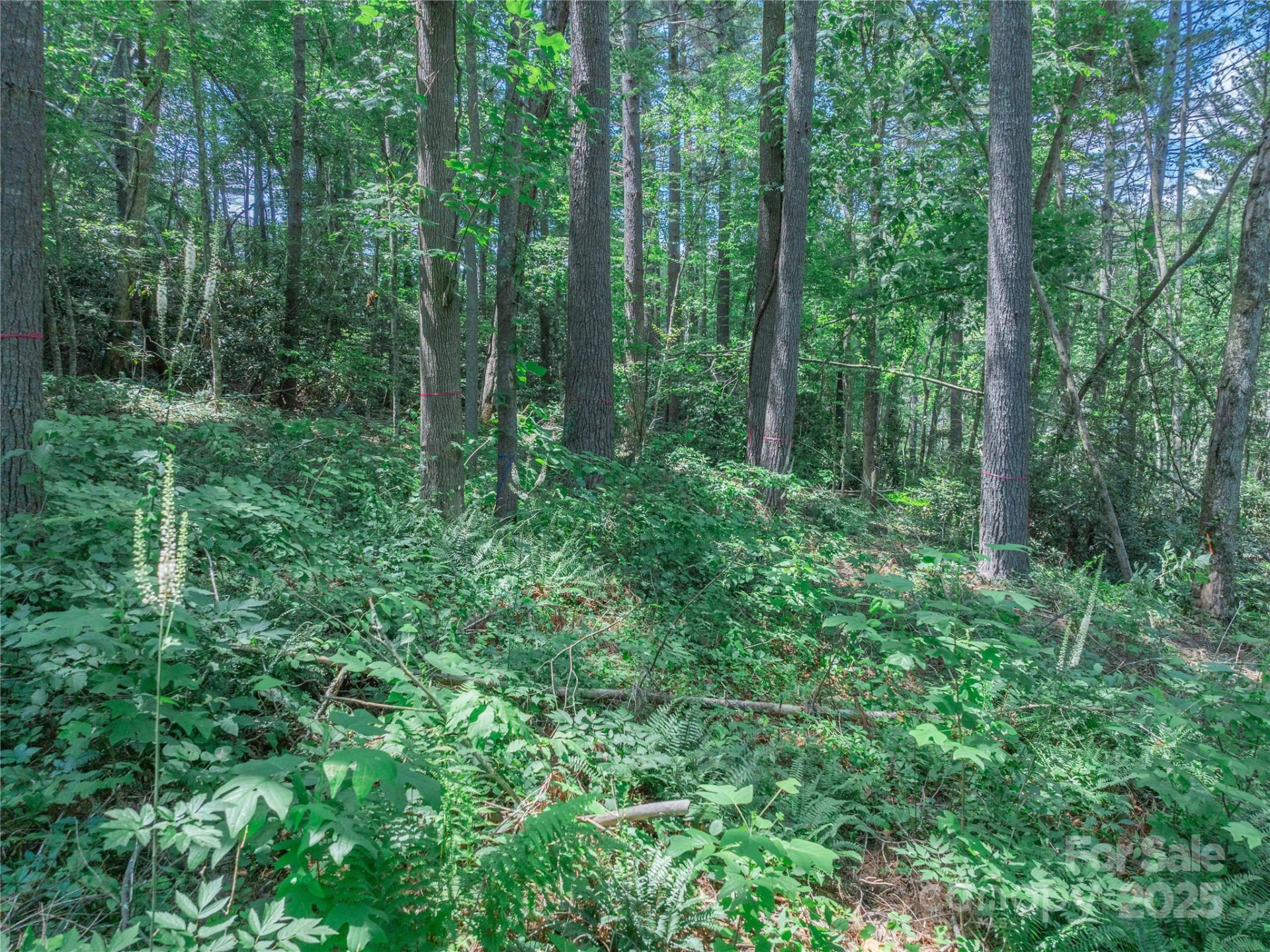 52 Trail Top Drive - Photo 28