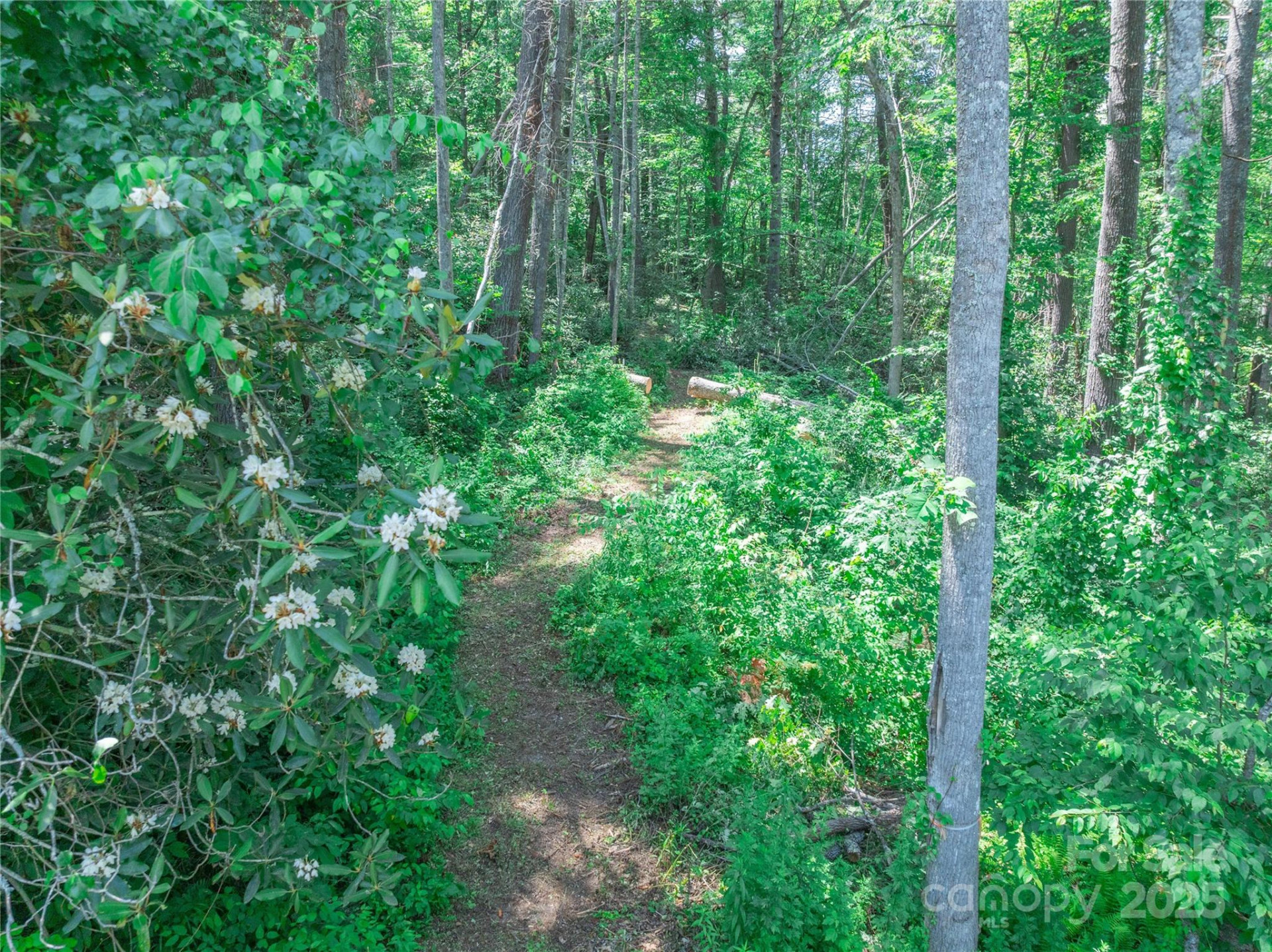 52 Trail Top Drive - Photo 32