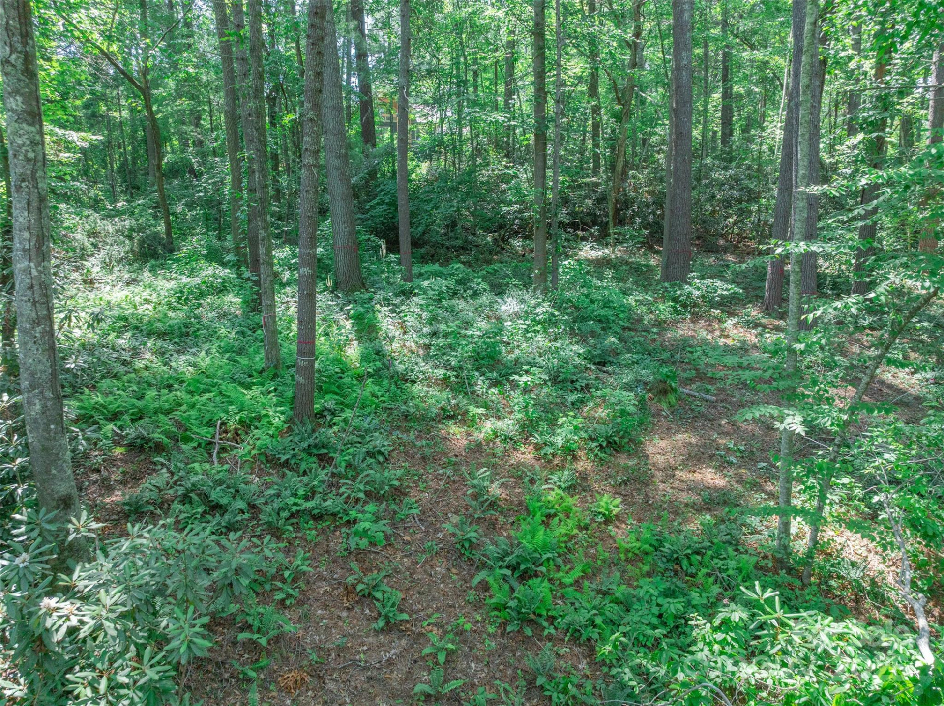 52 Trail Top Drive - Photo 33