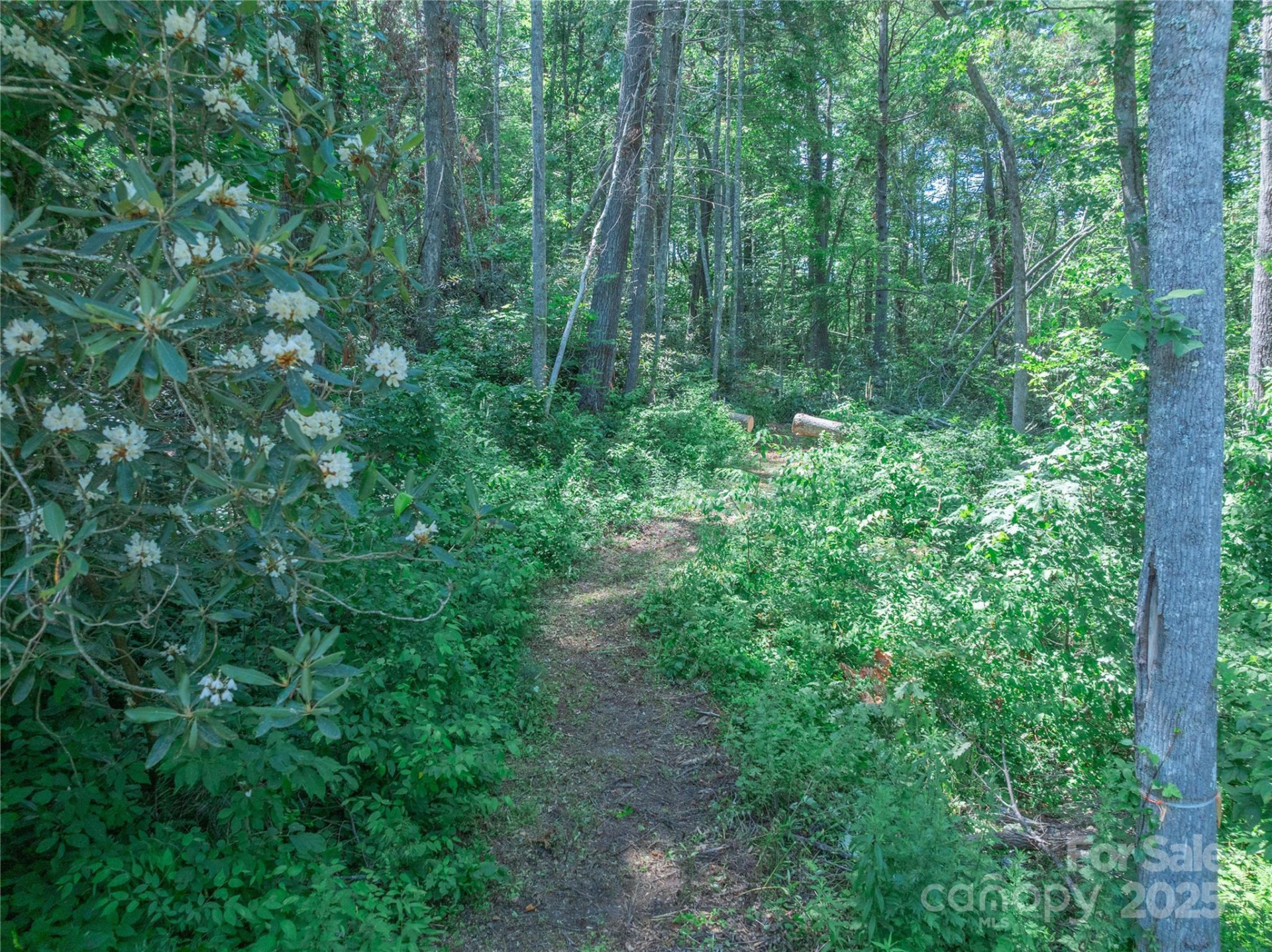 52 Trail Top Drive - Photo 9