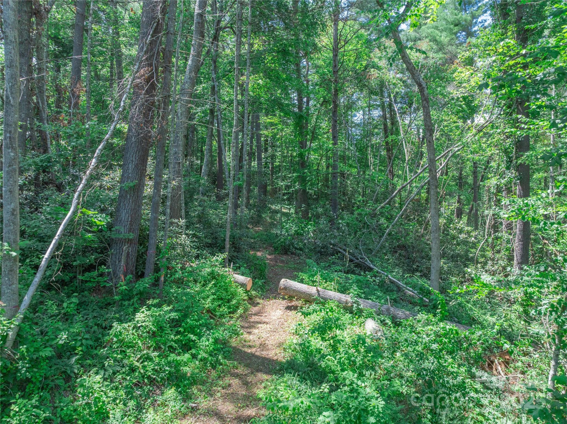 52 Trail Top Drive - Photo 10