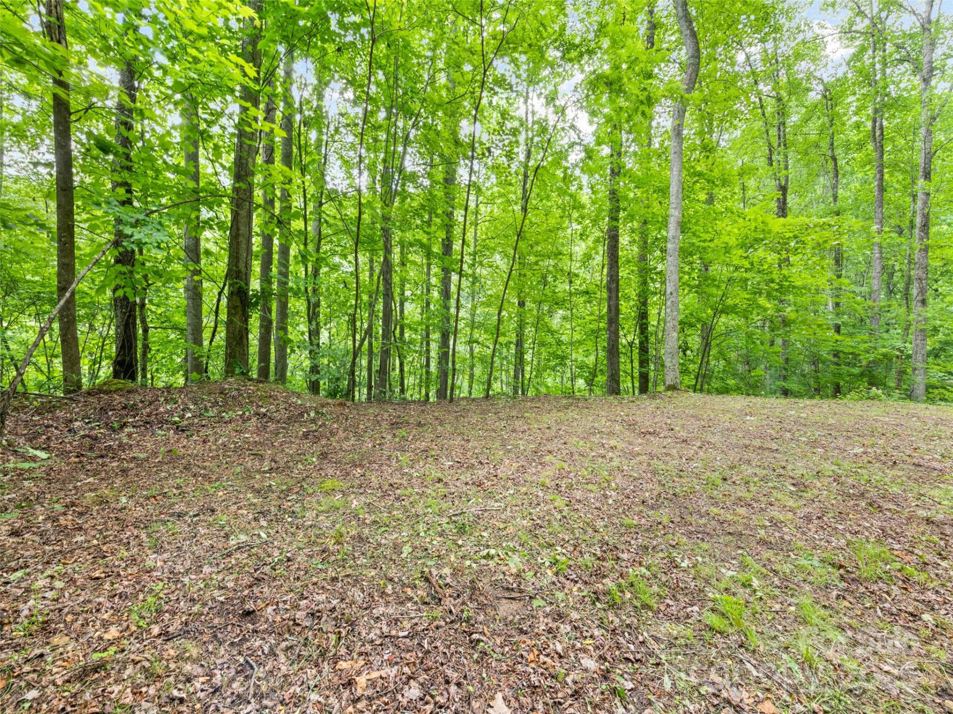 13 Galega Trail #D - Photo 11