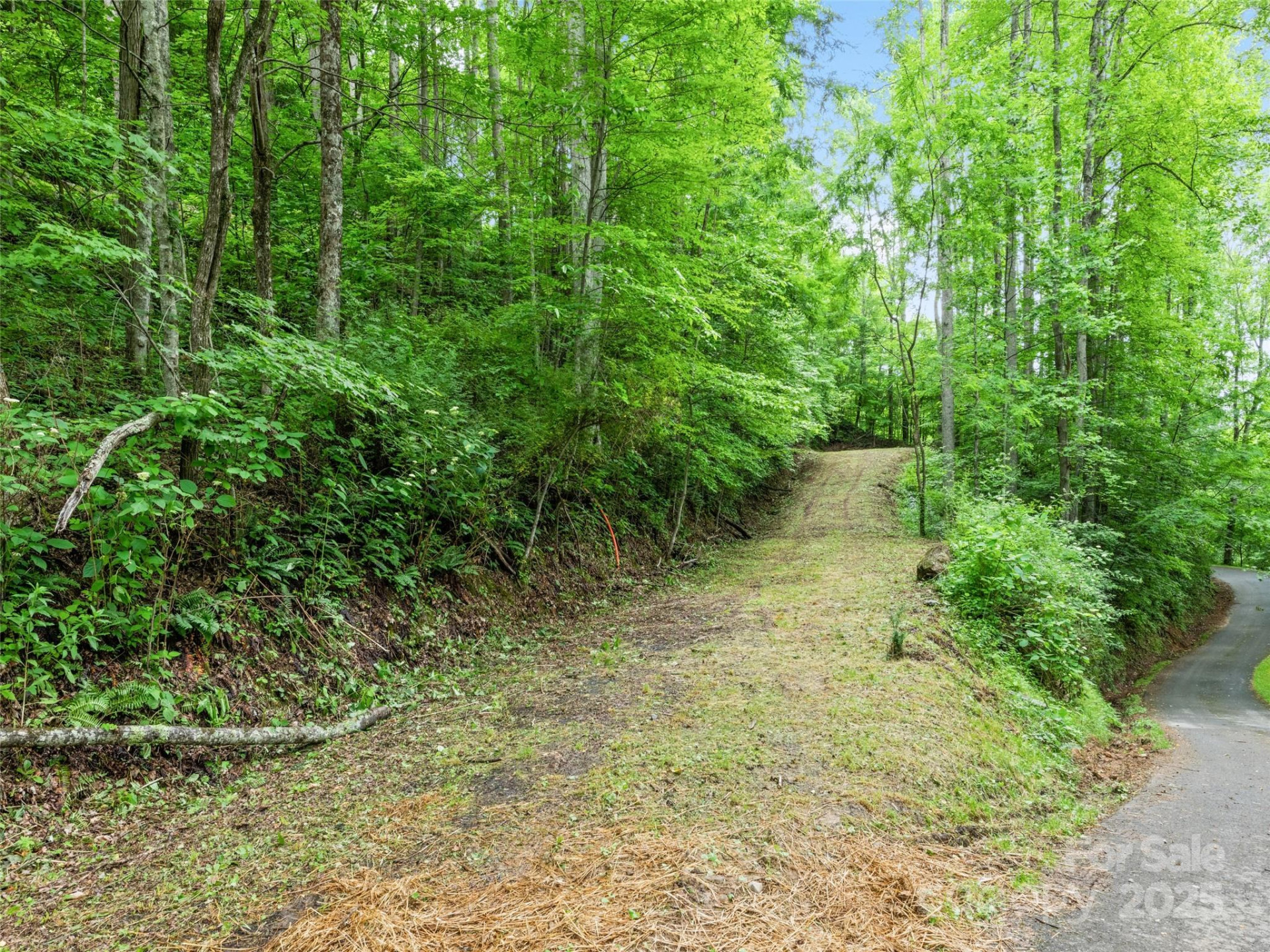 13 Galega Trail #D - Photo 6