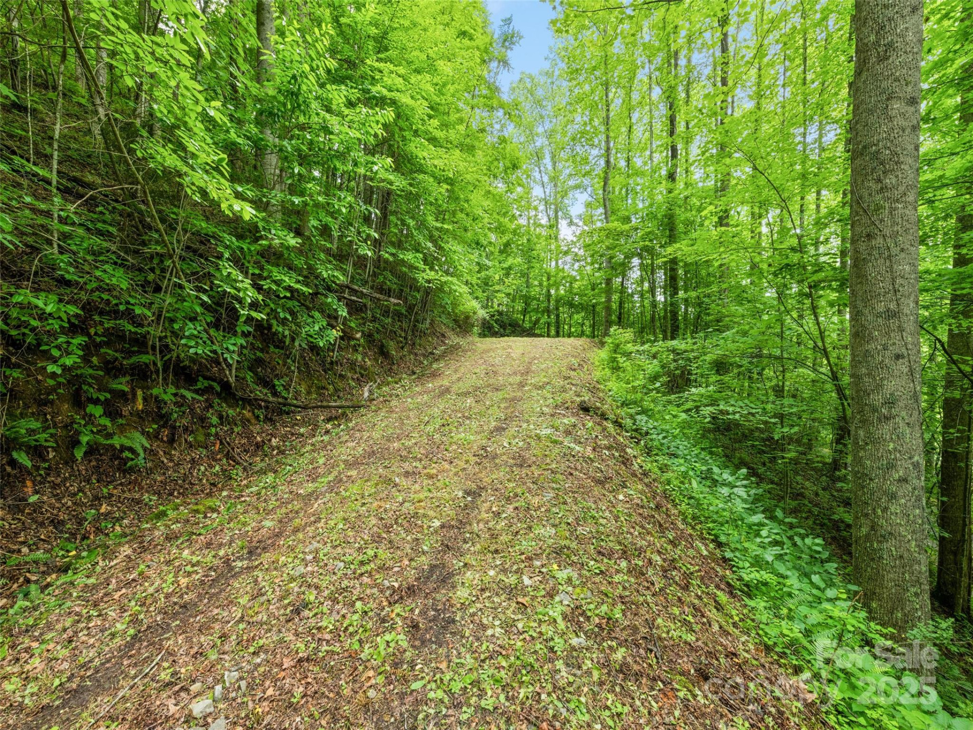 13 Galega Trail #D - Photo 7