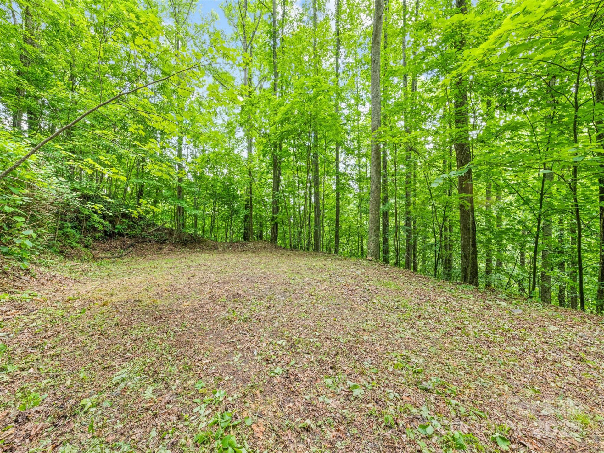 13 Galega Trail #D - Photo 8