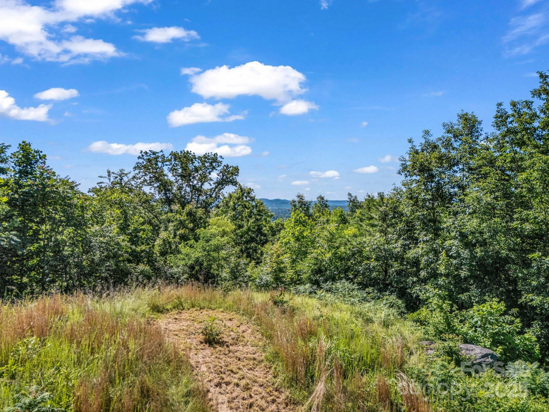 TBD Climbing Road - Photo 27