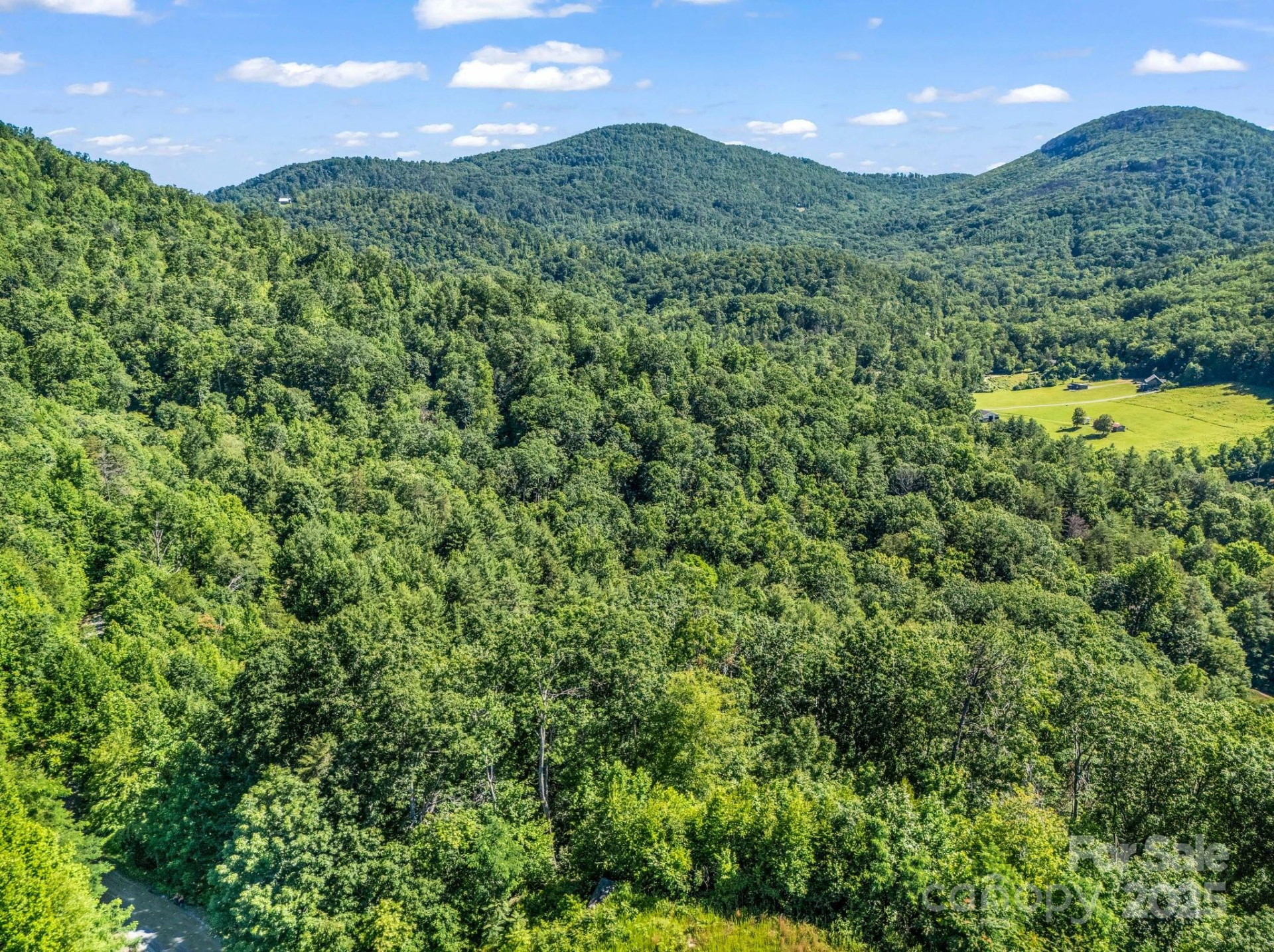 TBD Climbing Road - Photo 28