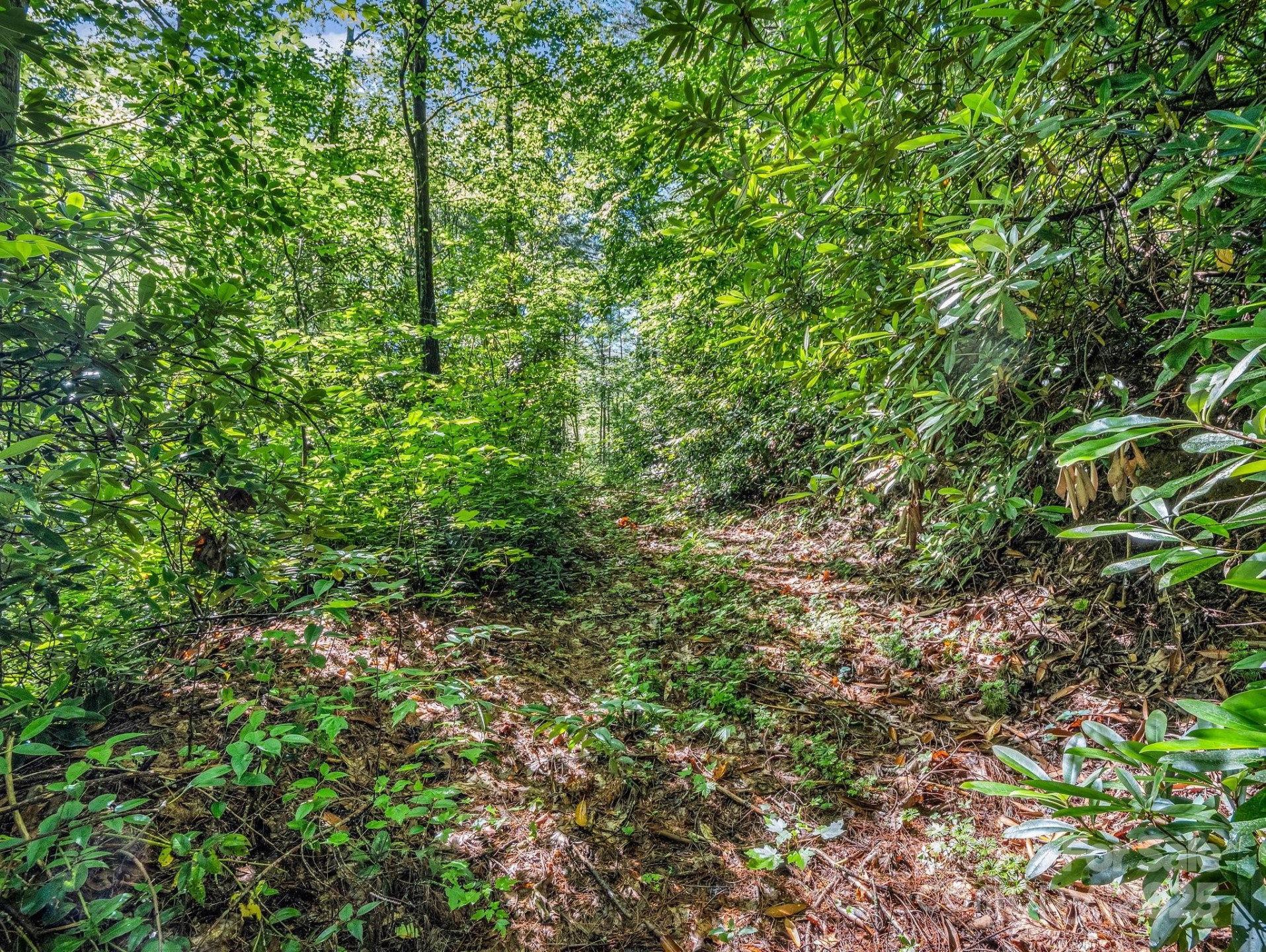 TBD Climbing Road - Photo 9