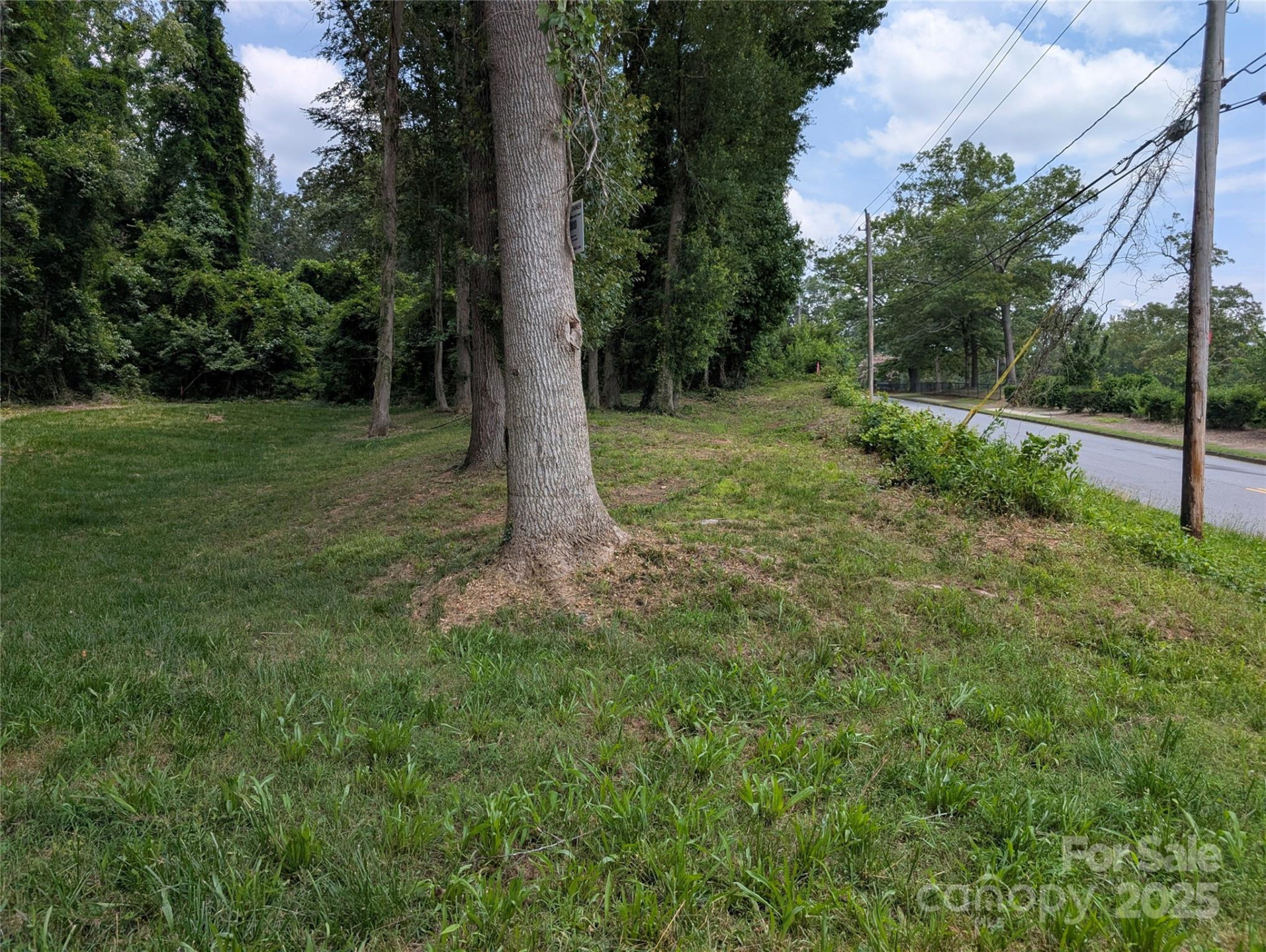 710 Bouchelle Road - Photo 2