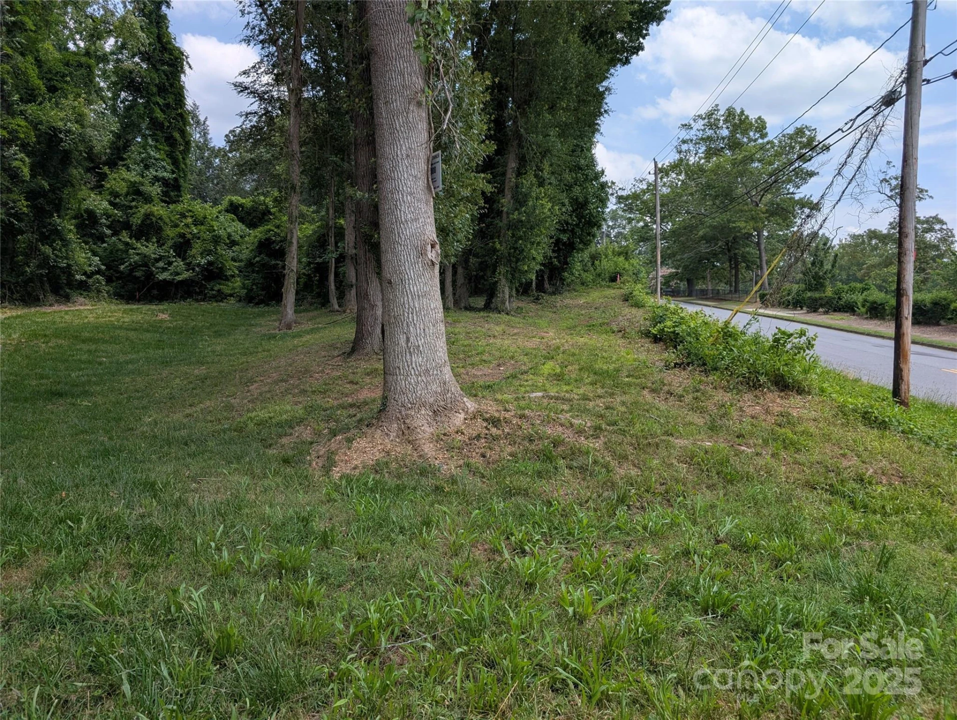 710 Bouchelle Road - Photo 2