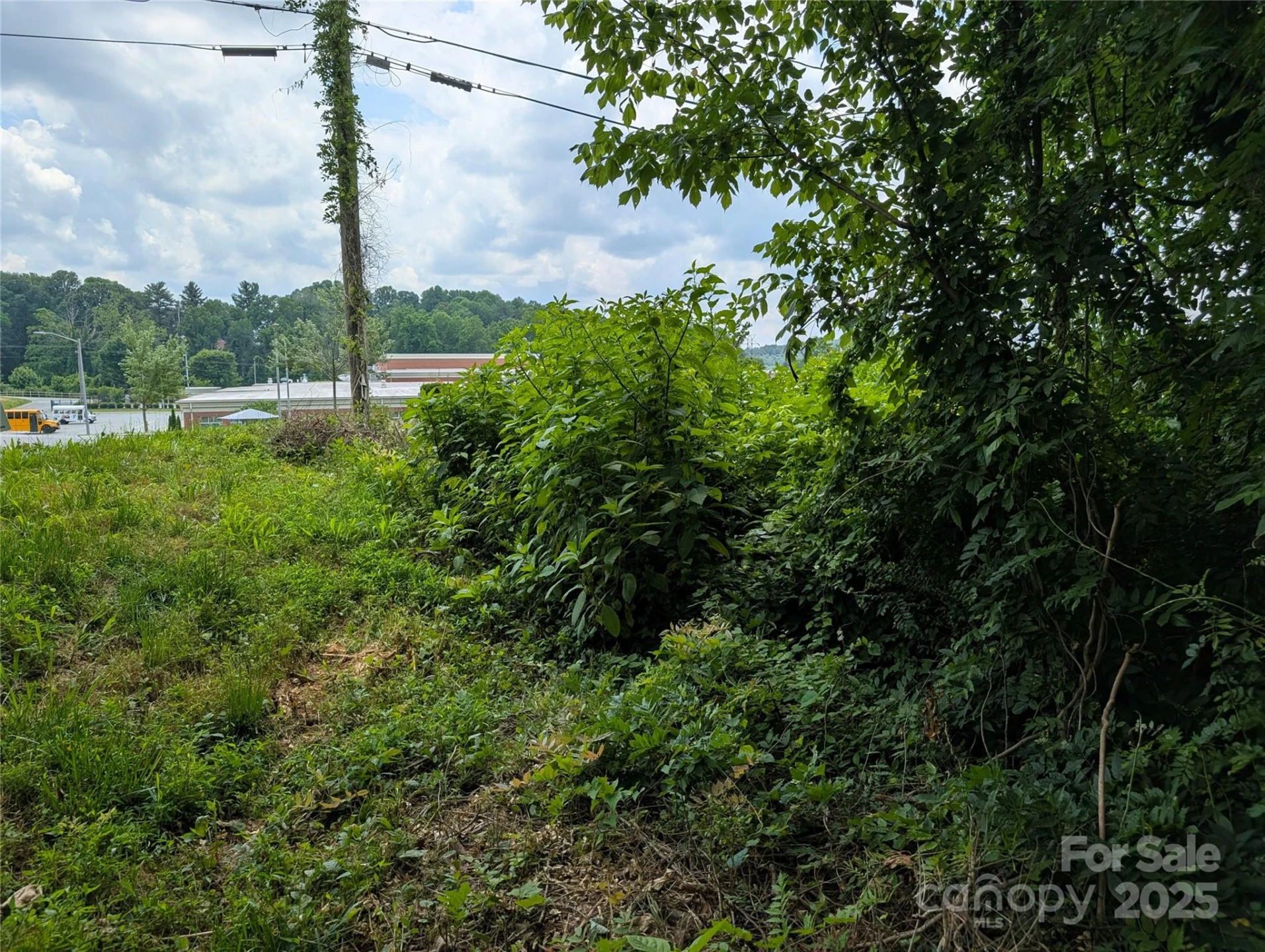 710 Bouchelle Road - Photo 4