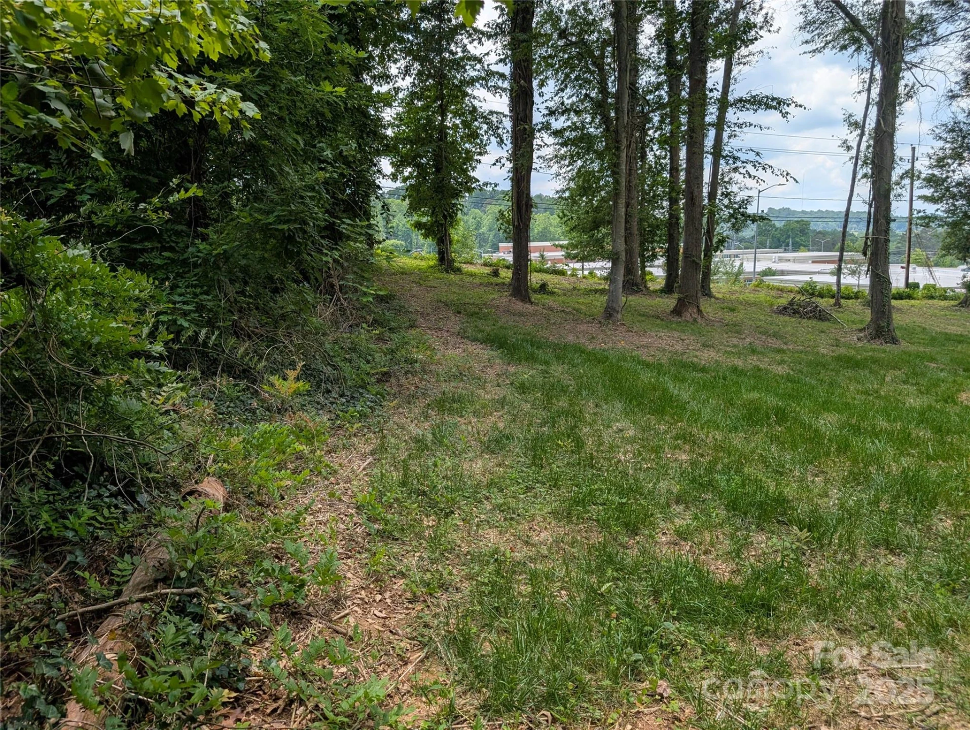 710 Bouchelle Road - Photo 5