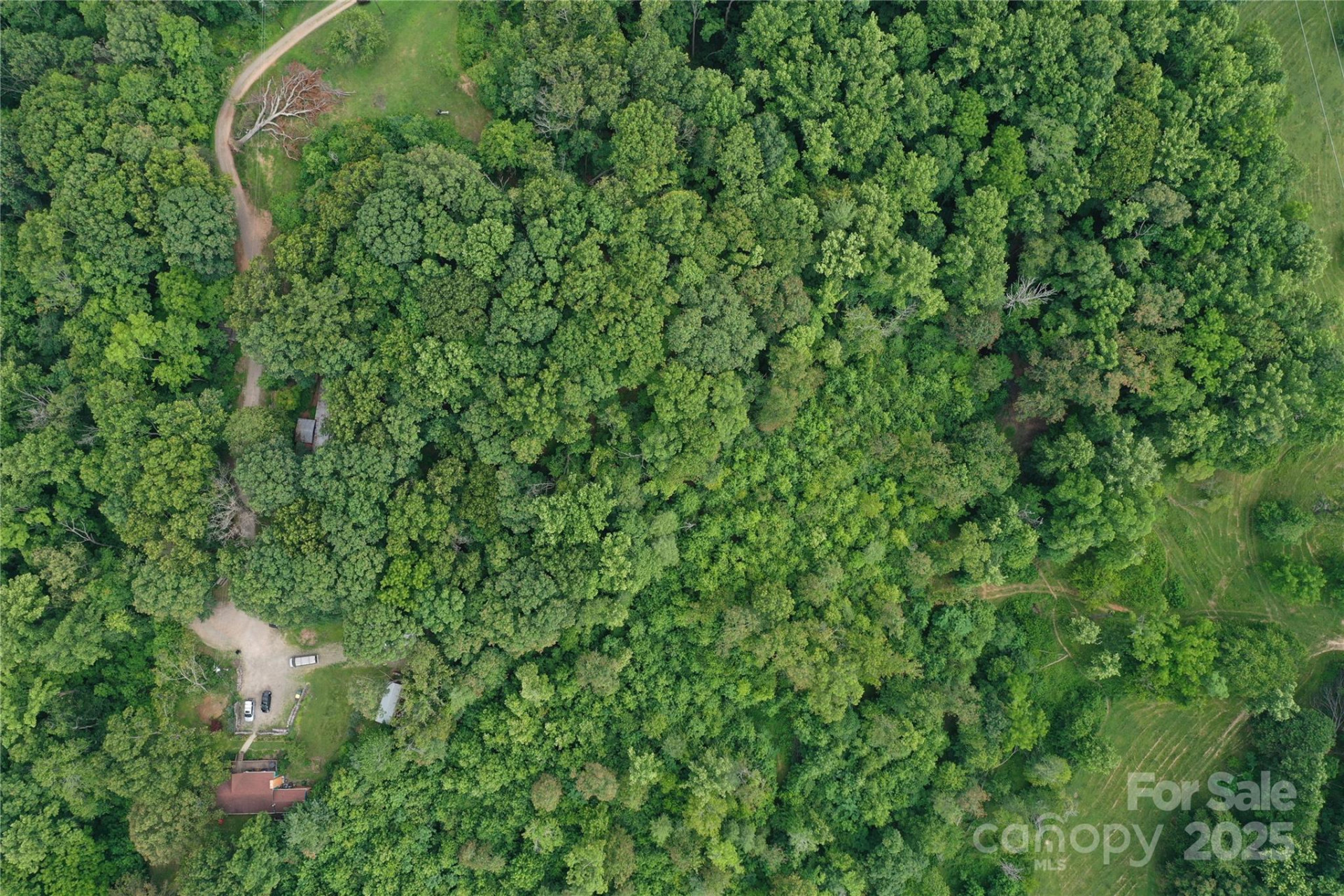 72 Pounders Drive - Photo 12