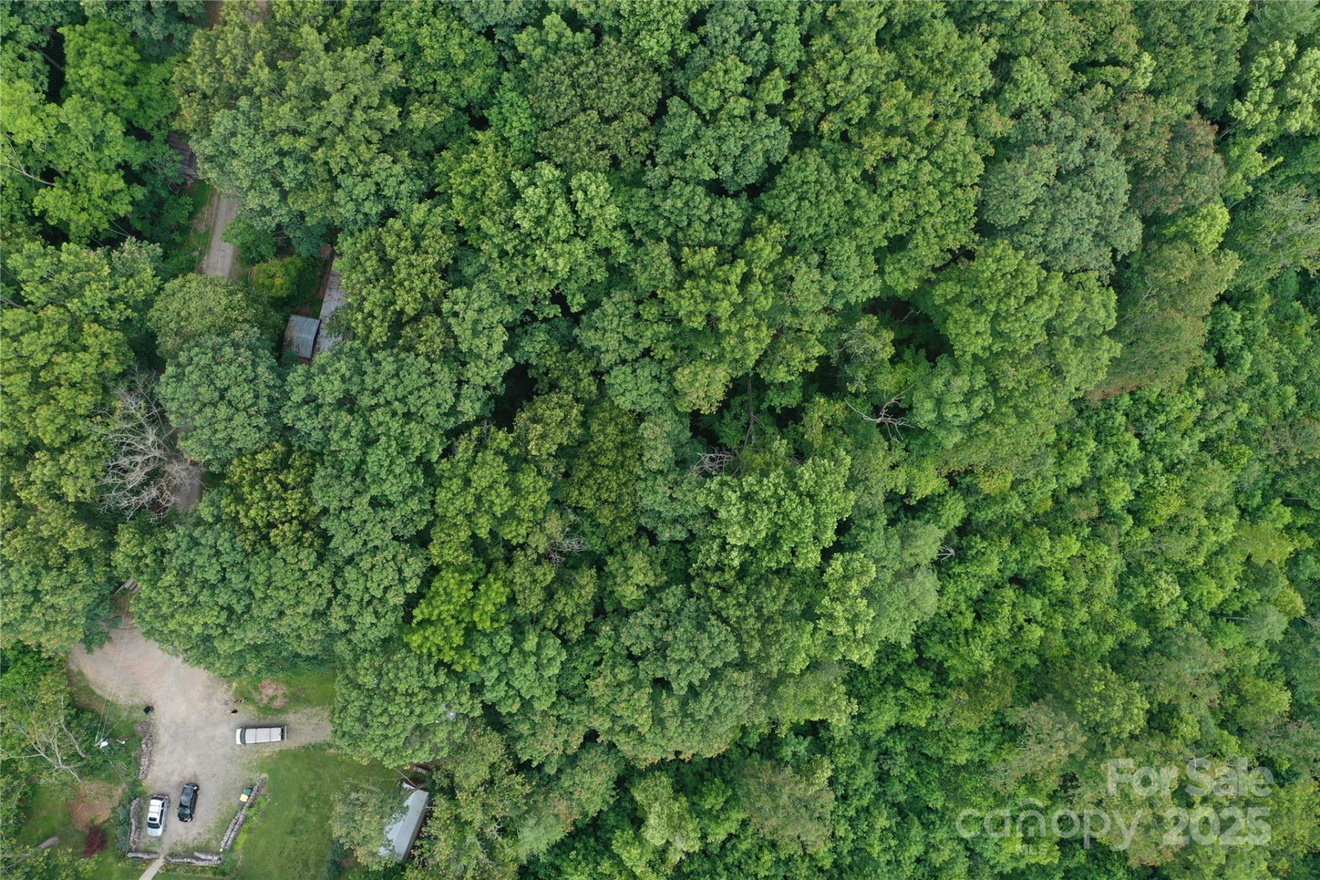 72 Pounders Drive - Photo 13