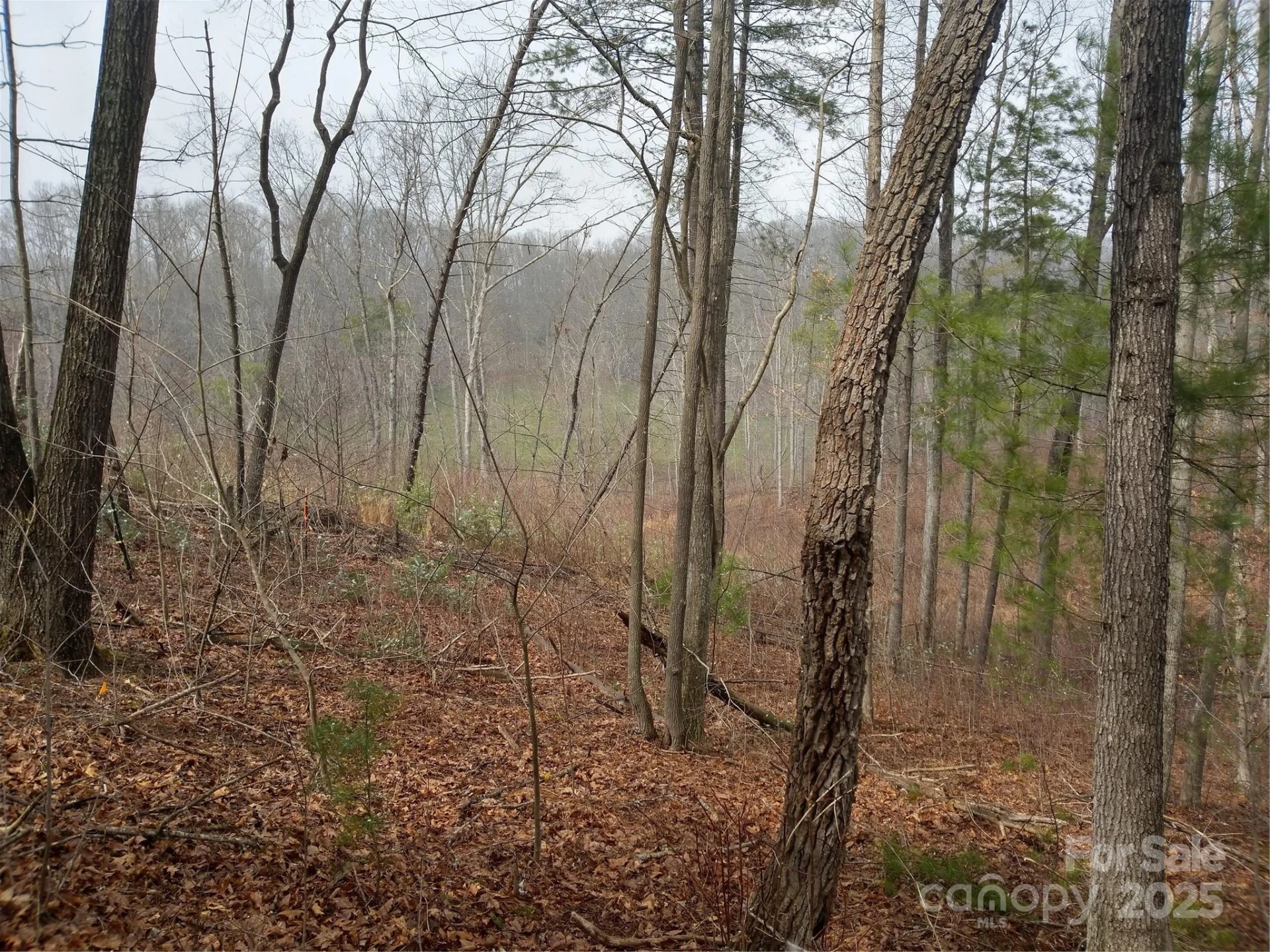 72 Pounders Drive - Photo 3