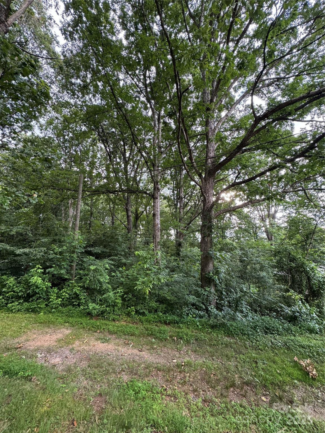 72 Pounders Drive - Photo 4