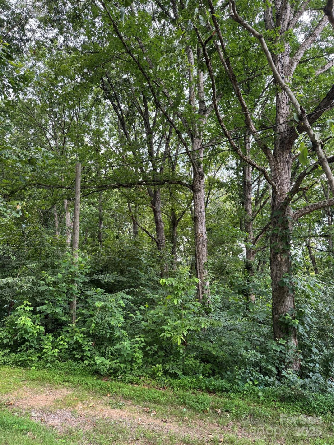 72 Pounders Drive - Photo 6